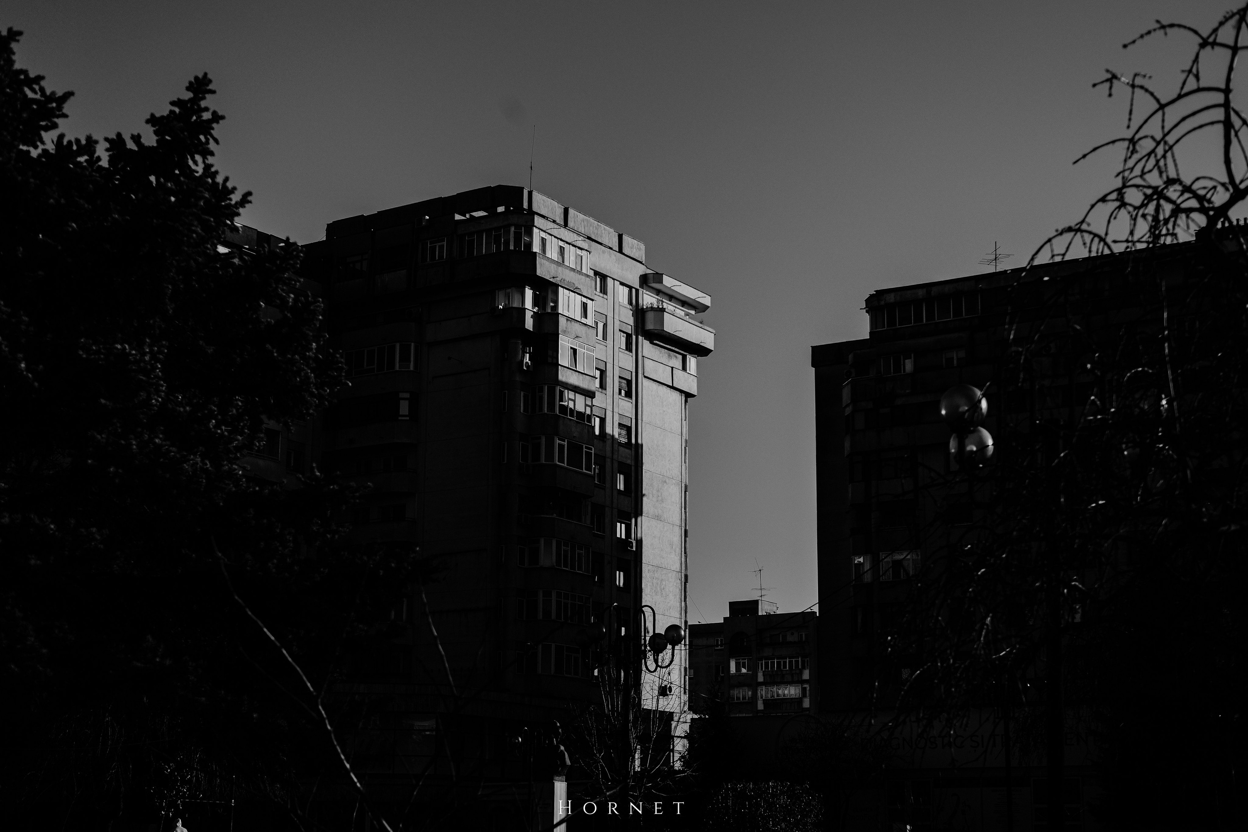 14.03.2026 Ploiesti | Romania. Hornetart