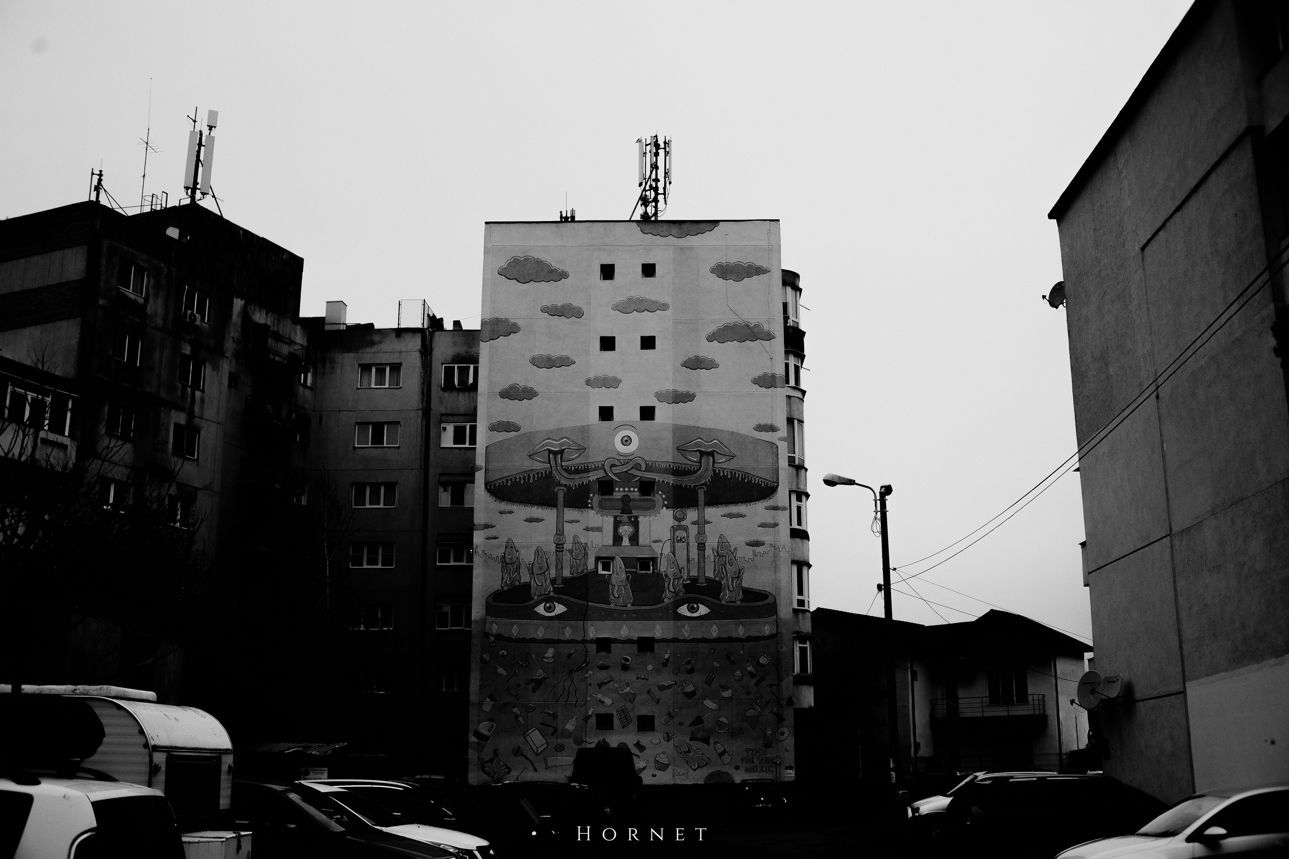 29.03.2025 Ploiesti | Romania. Hornetart