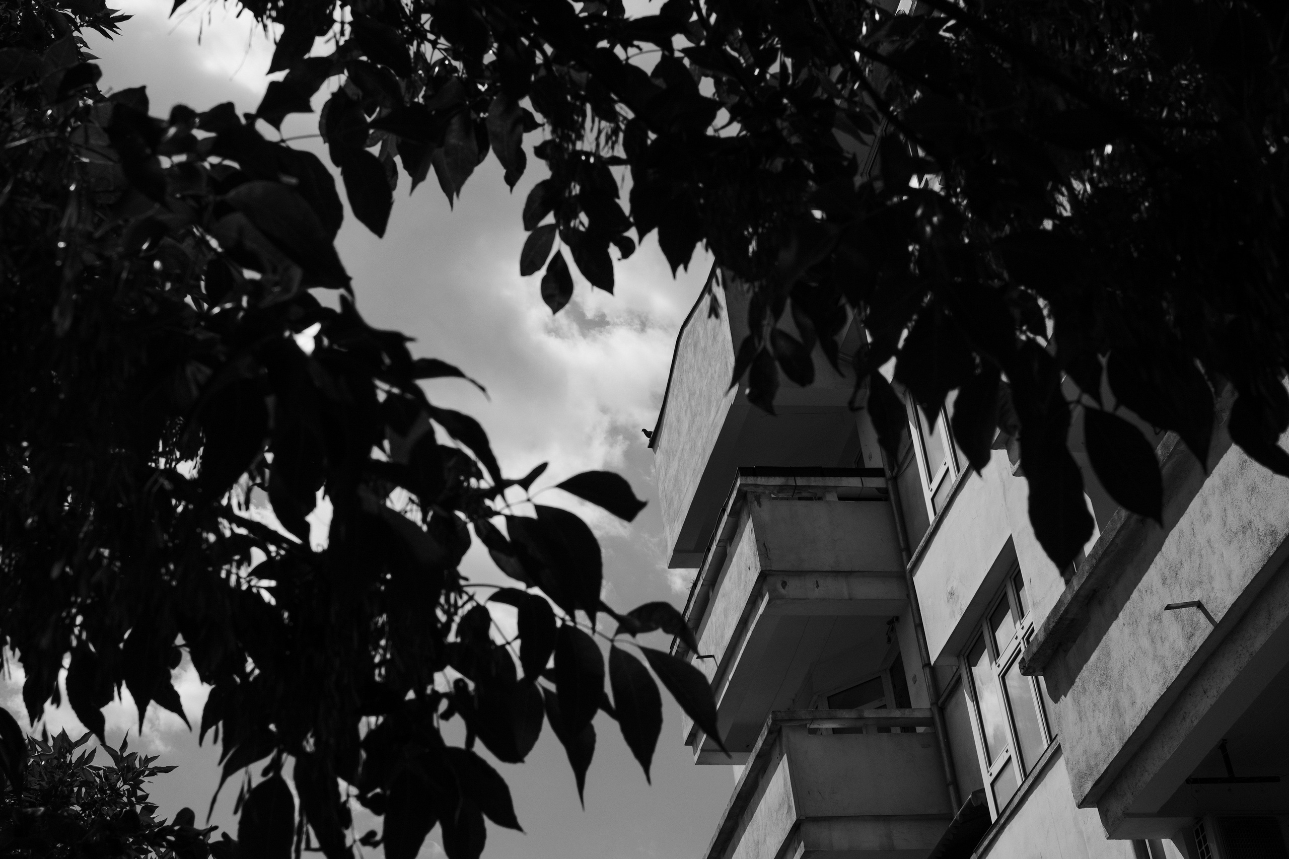 21.06.2025 Ploiesti | Romania. Hornetart