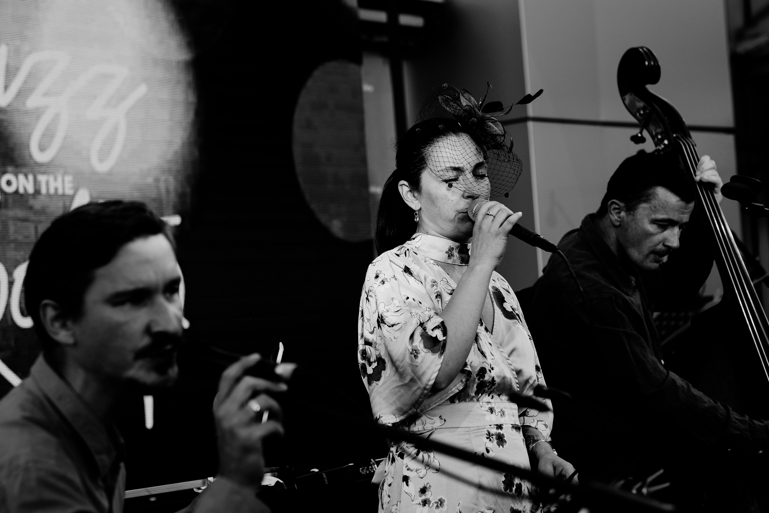 Luiza Zan & Jazzpar Trio. Hornetart