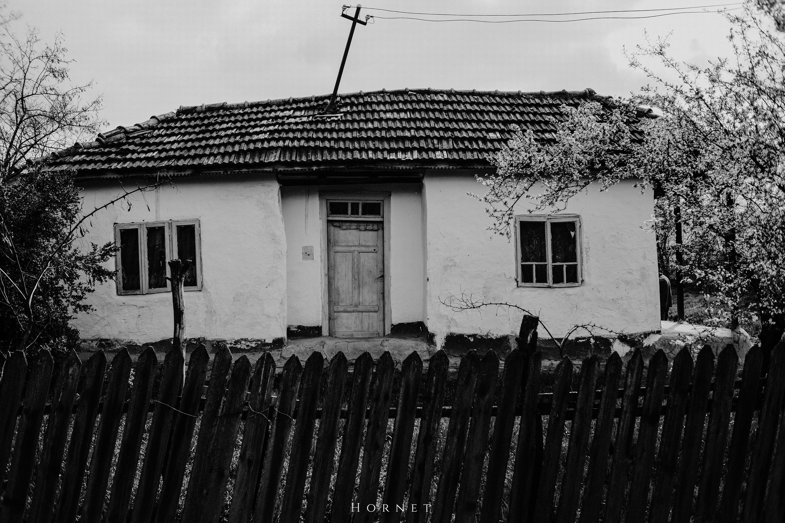 30.03.2025 Buzau | Romania. Hornetart
