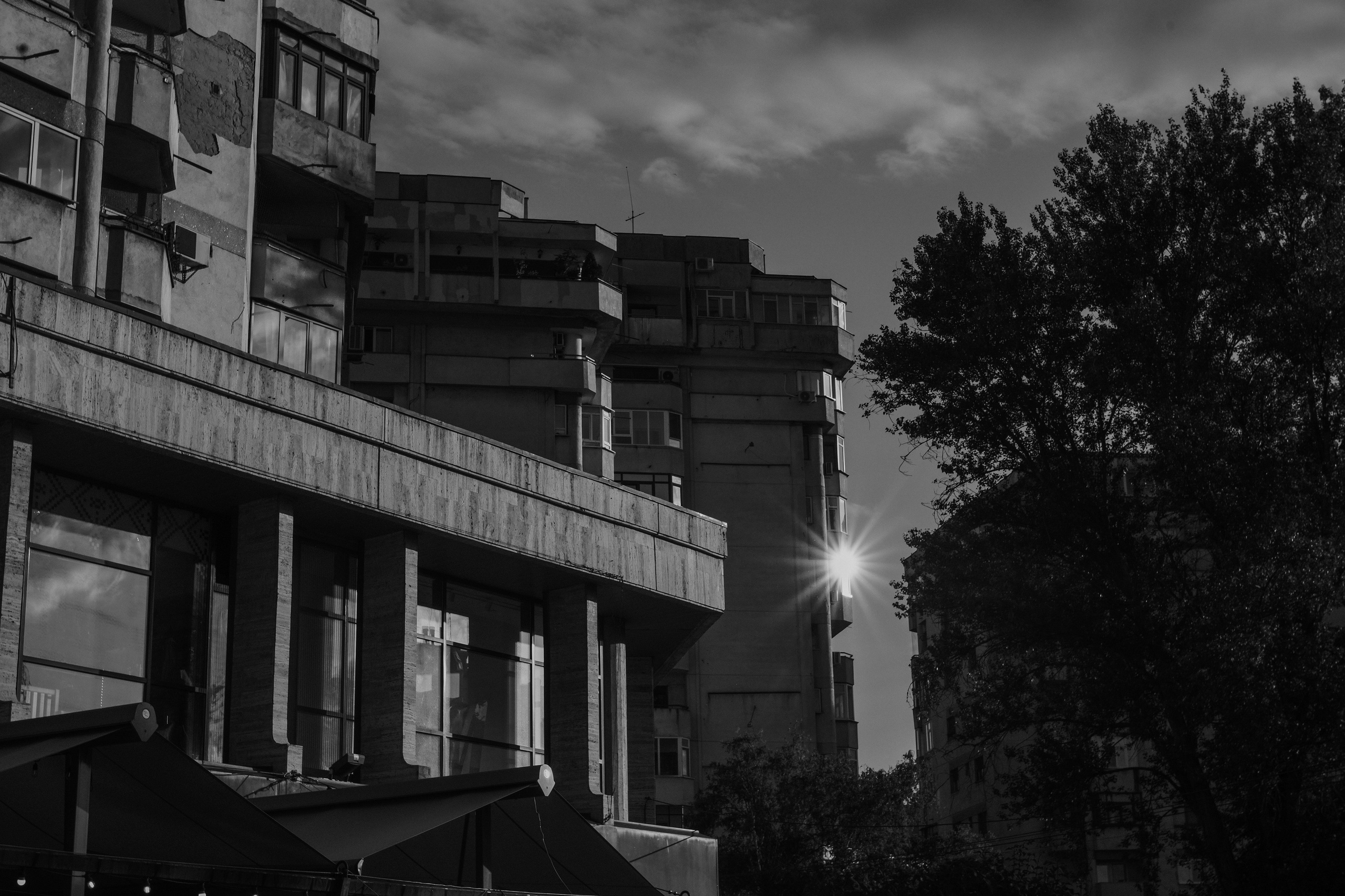 21.06.2025 Ploiesti | Romania. Hornetart