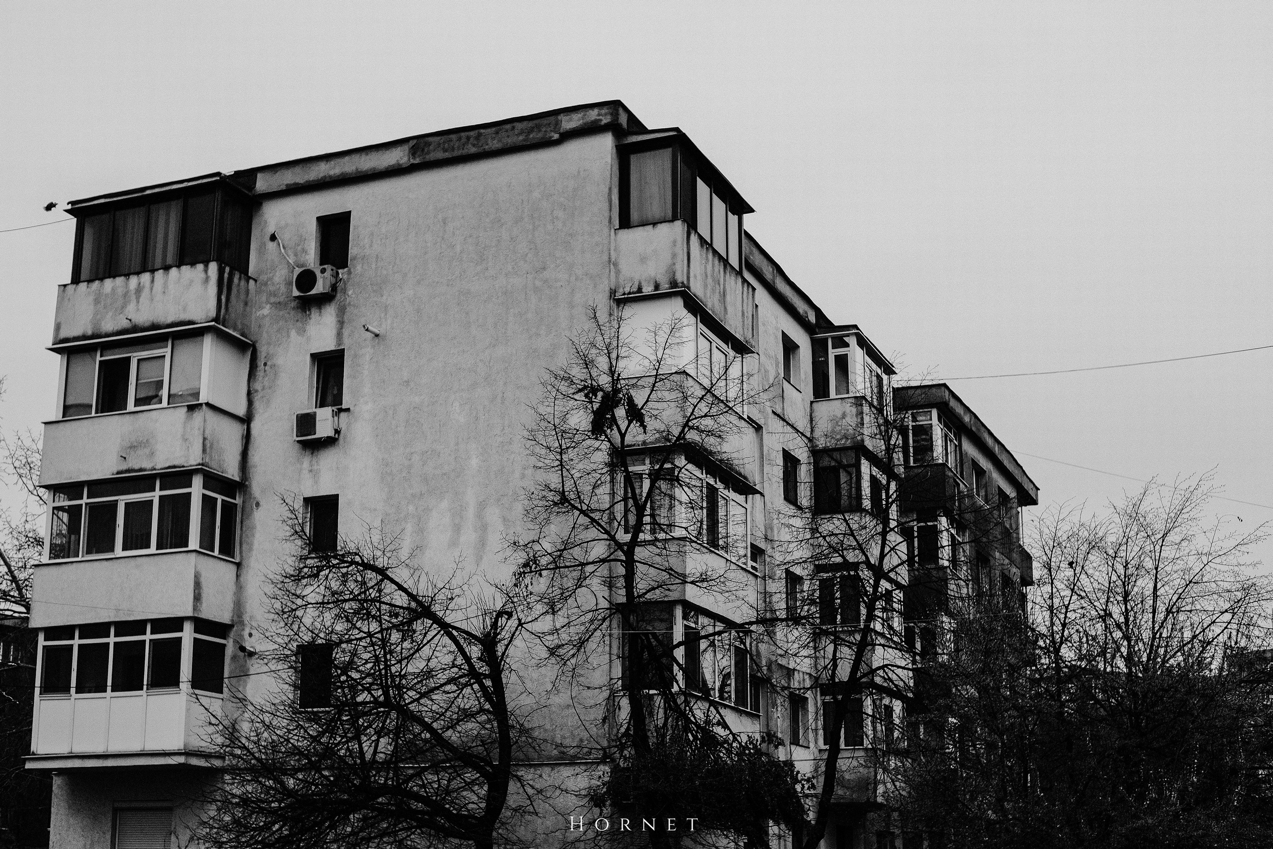 29.03.2025 Ploiesti | Romania. Hornetart