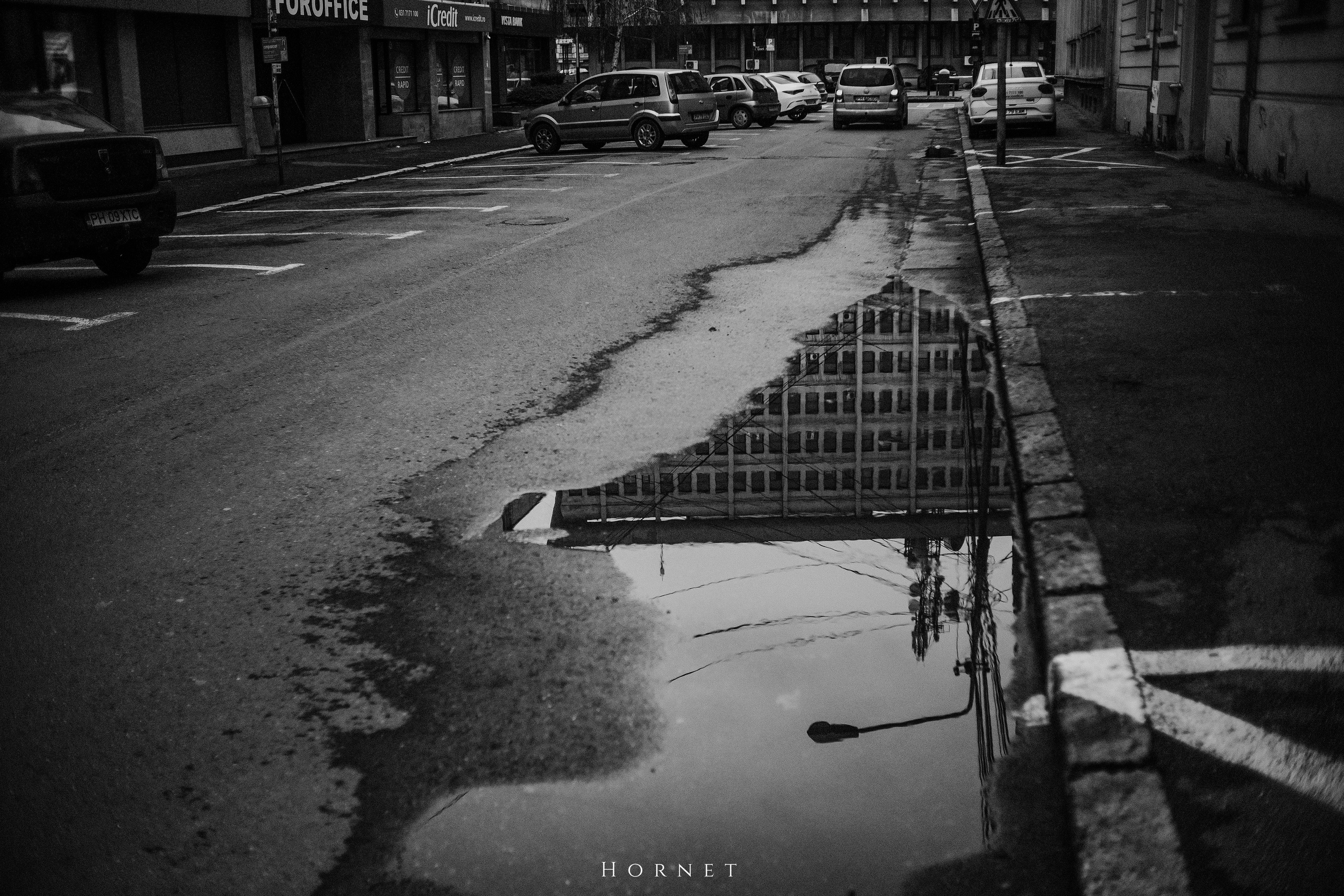 29.03.2025 Ploiesti | Romania. Hornetart
