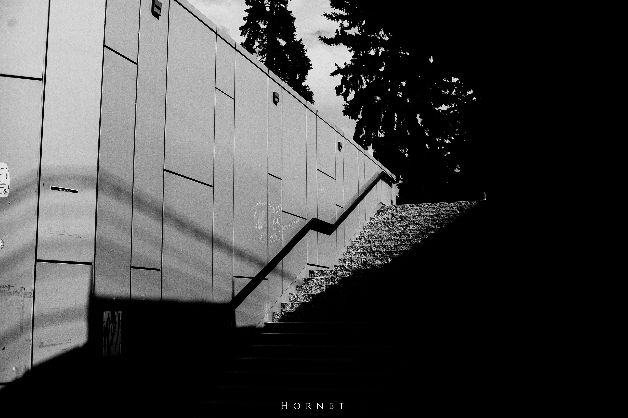 21.04.2025 Ploiesti | Romania. Hornetart