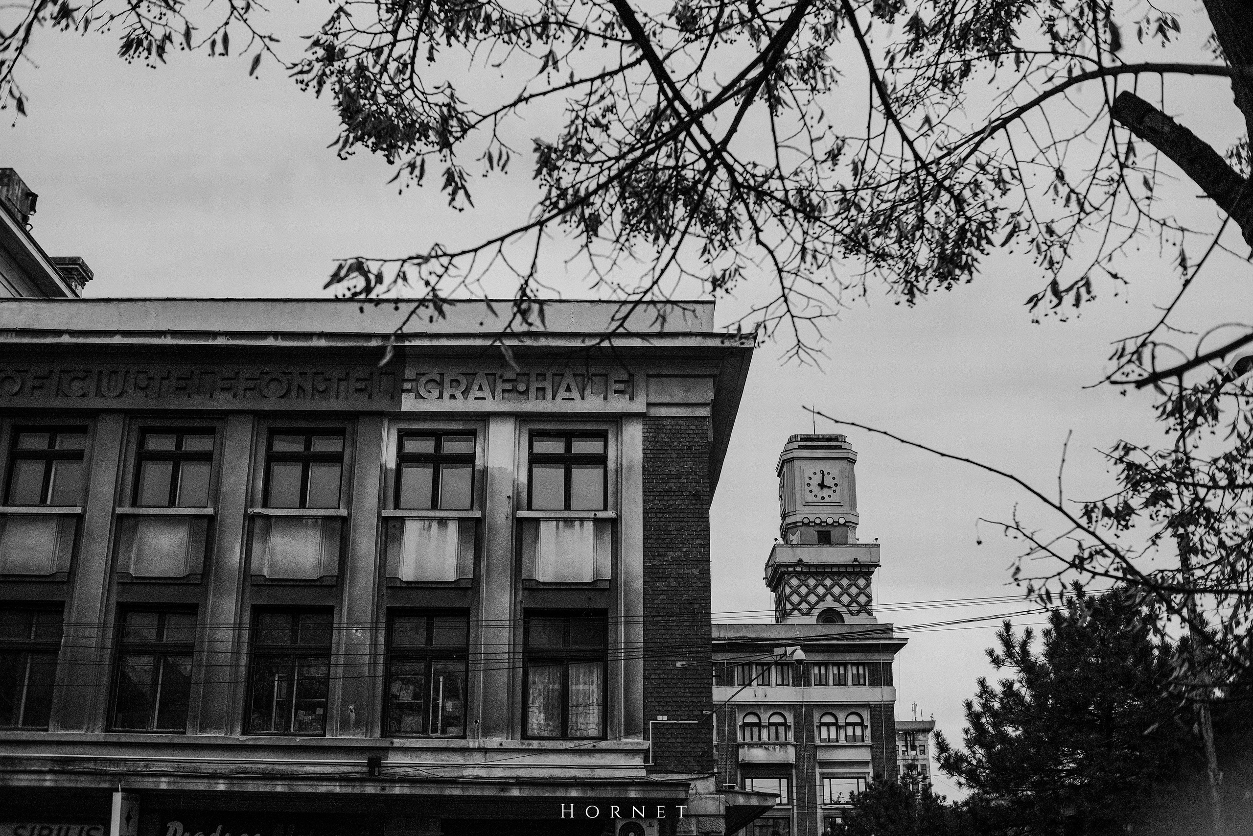 7.01.2025 Ploiesti | Romania. Hornetart