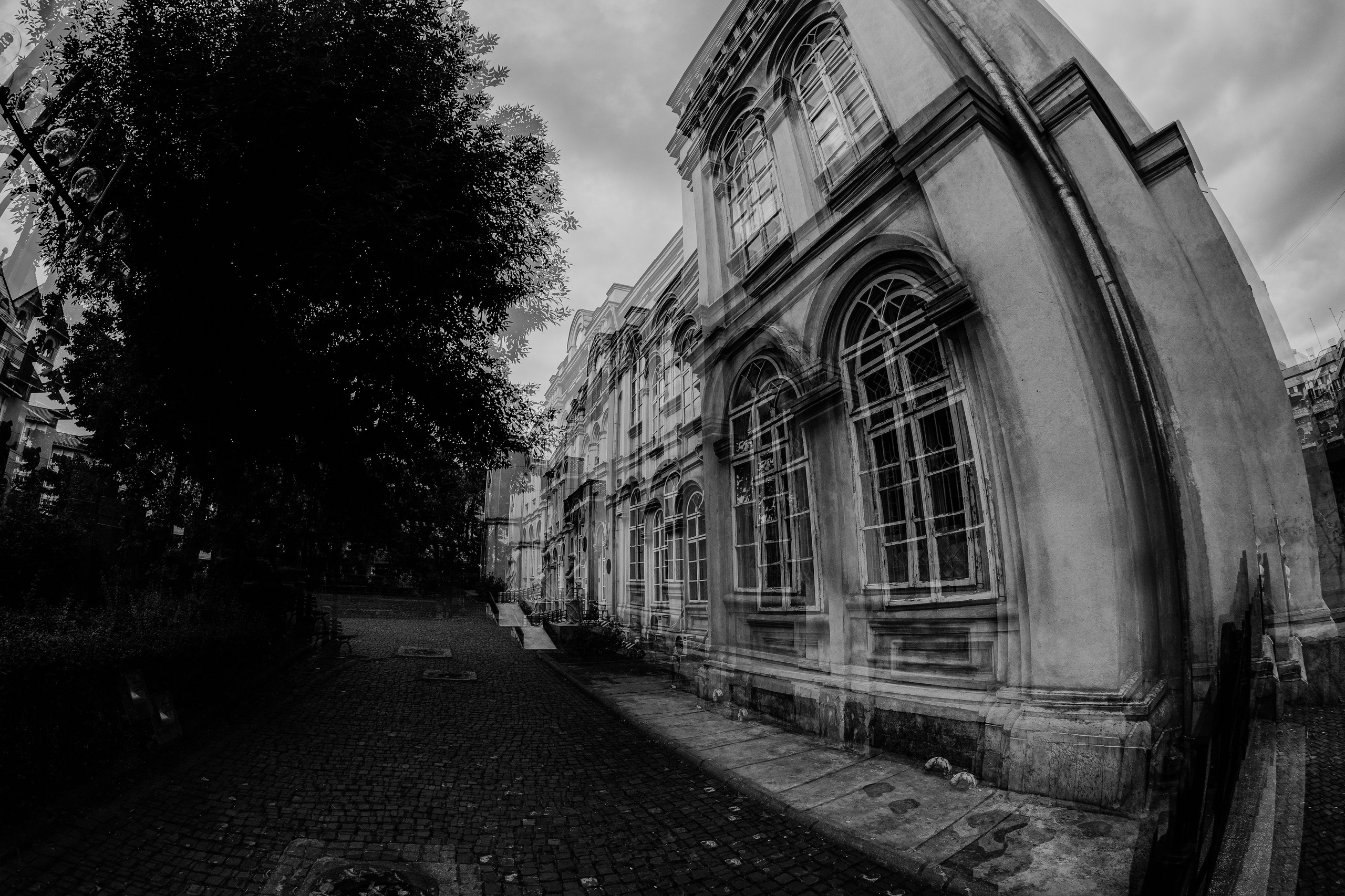 19.07.2025 Ploiesti | Romania. Hornetart