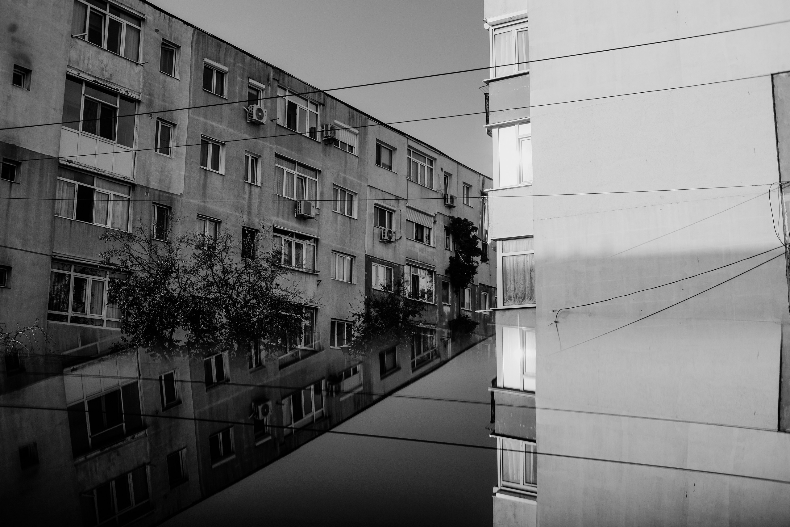 22.11.2025 Ploiesti | Romania. Hornetart