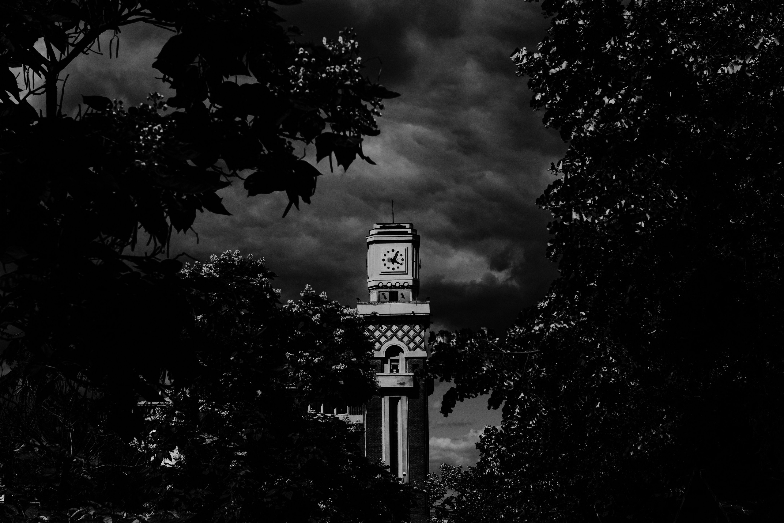 21.06.2025 Ploiesti | Romania. Hornetart
