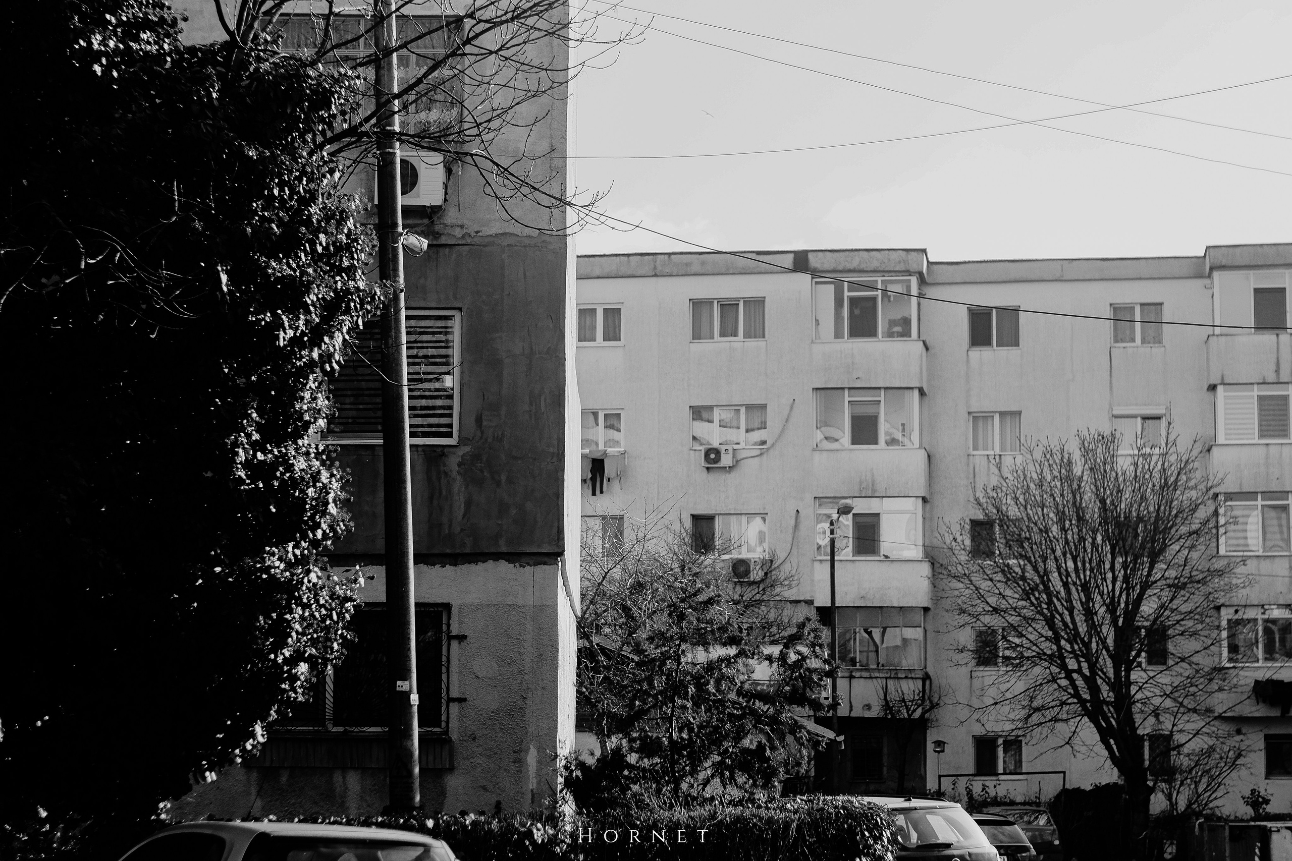 7.02.2025 Ploiesti | Romania. Hornetart