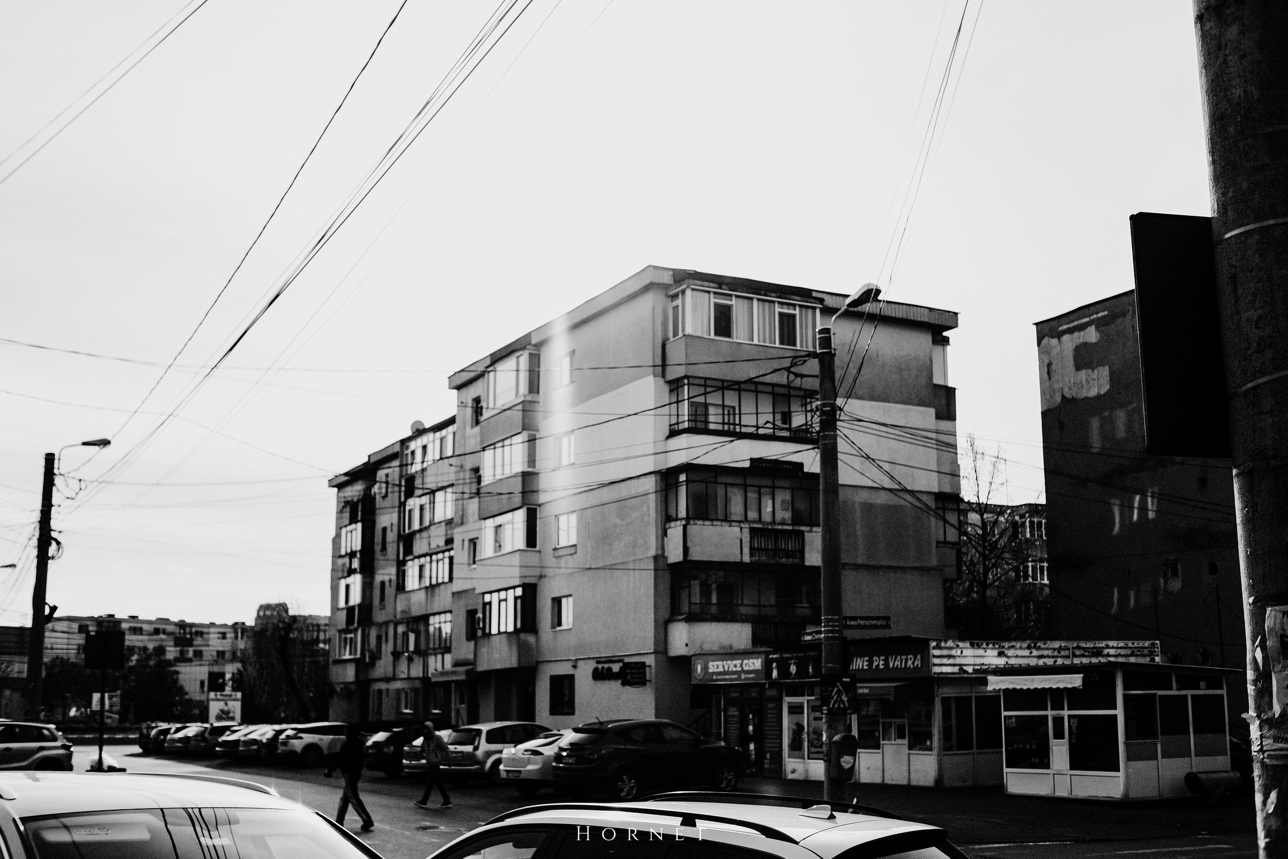 12.01.2025 Ploiesti | Romania. Hornetart