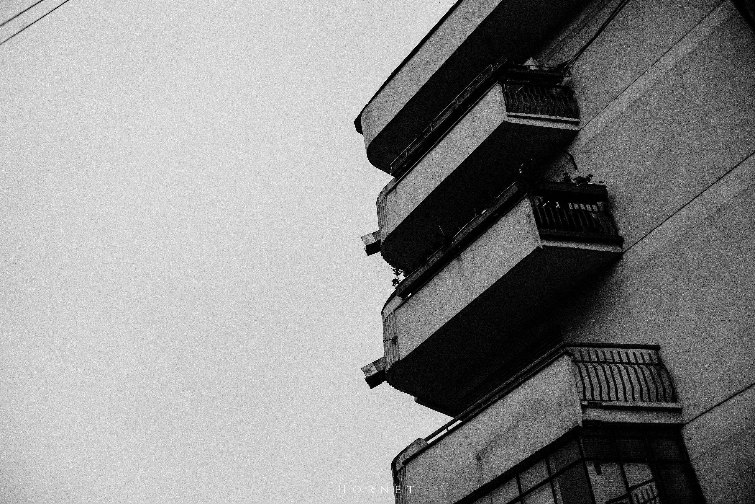 7.01.2025 Ploiesti | Romania. Hornetart