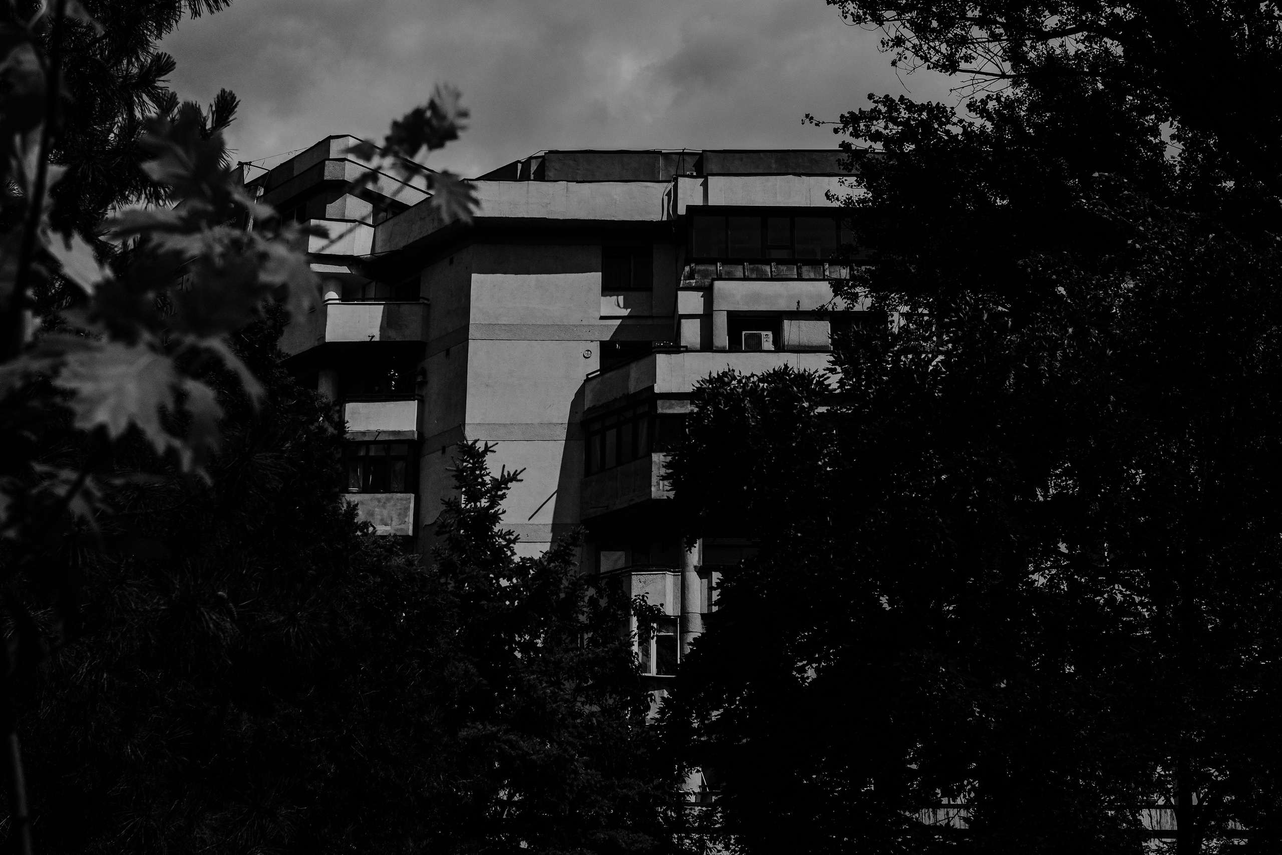 21.06.2025 Ploiesti | Romania. Hornetart