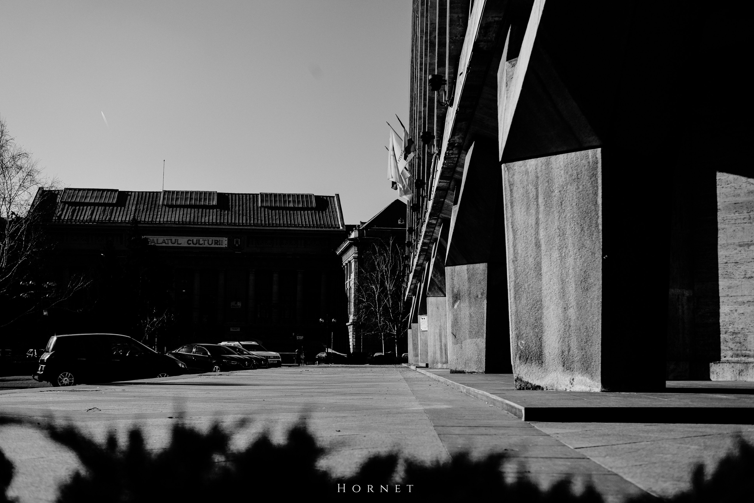 14.03.2026 Ploiesti | Romania. Hornetart