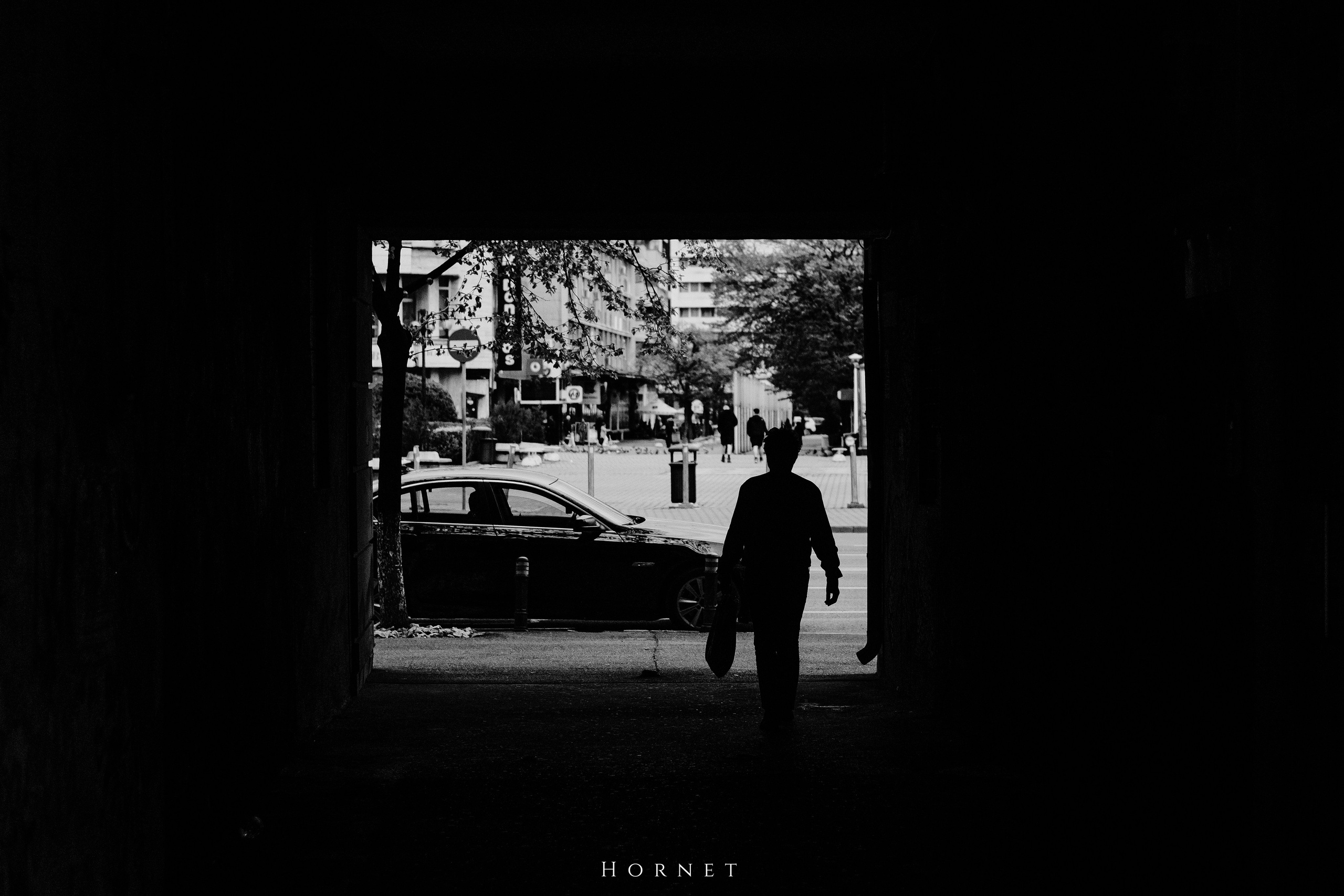 5.04.2025 Ploiesti | Romania. Hornetart