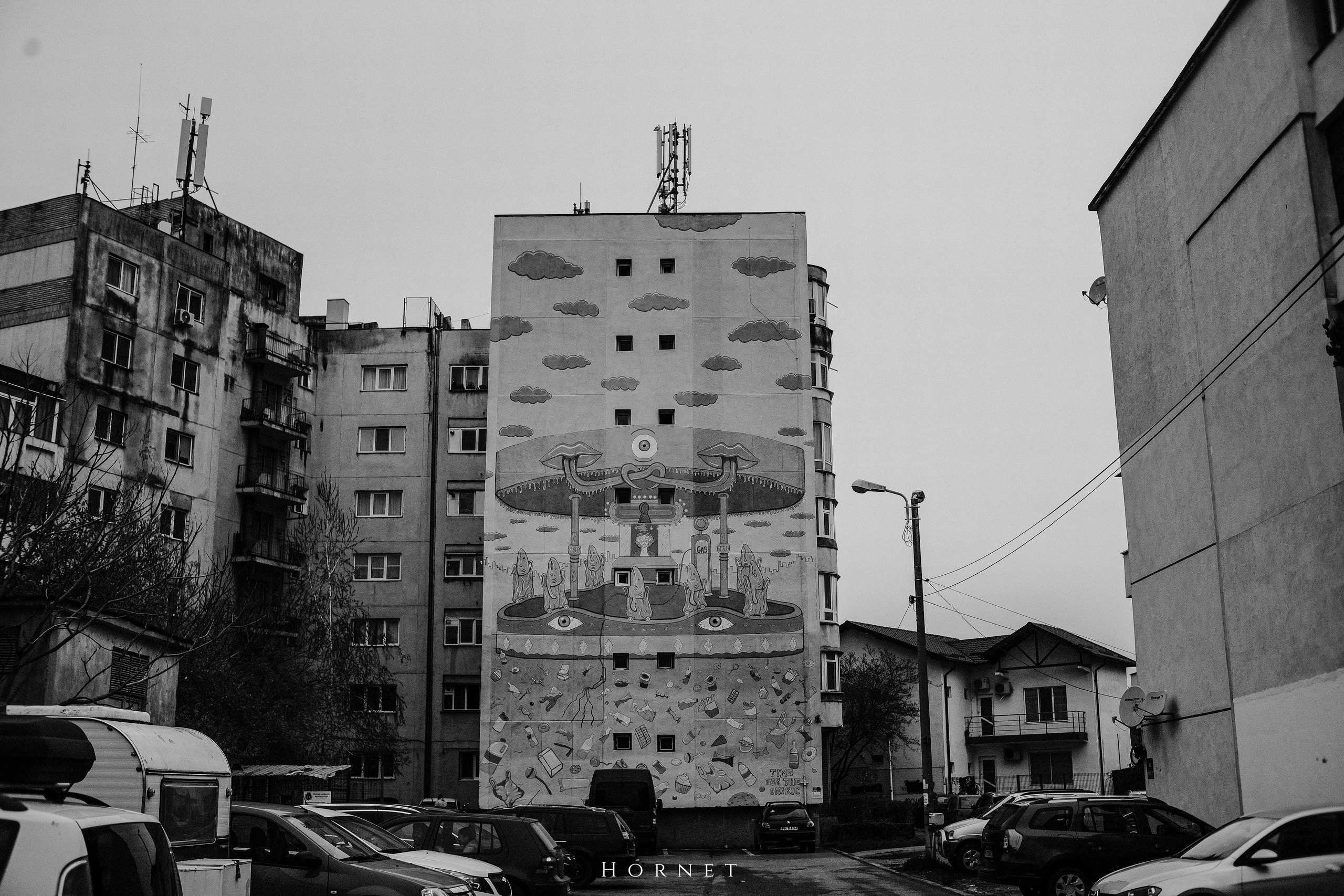 29.03.2025 Ploiesti | Romania. Hornetart