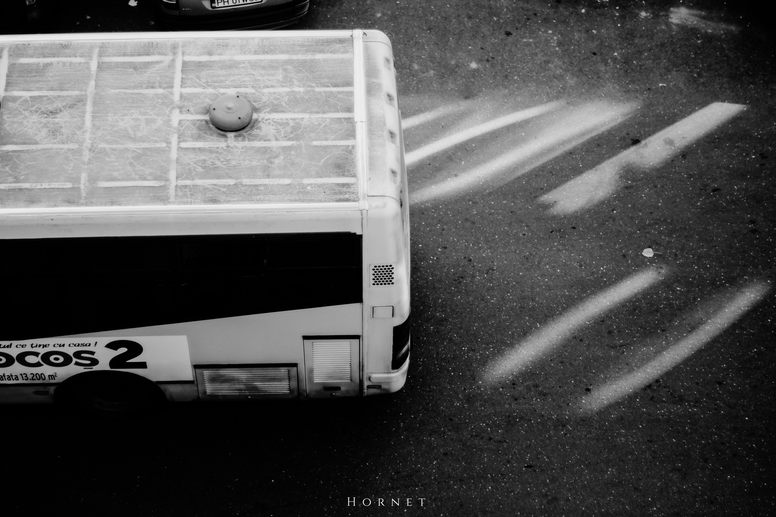 2.11.2025 Ploiesti | Romania. Hornetart