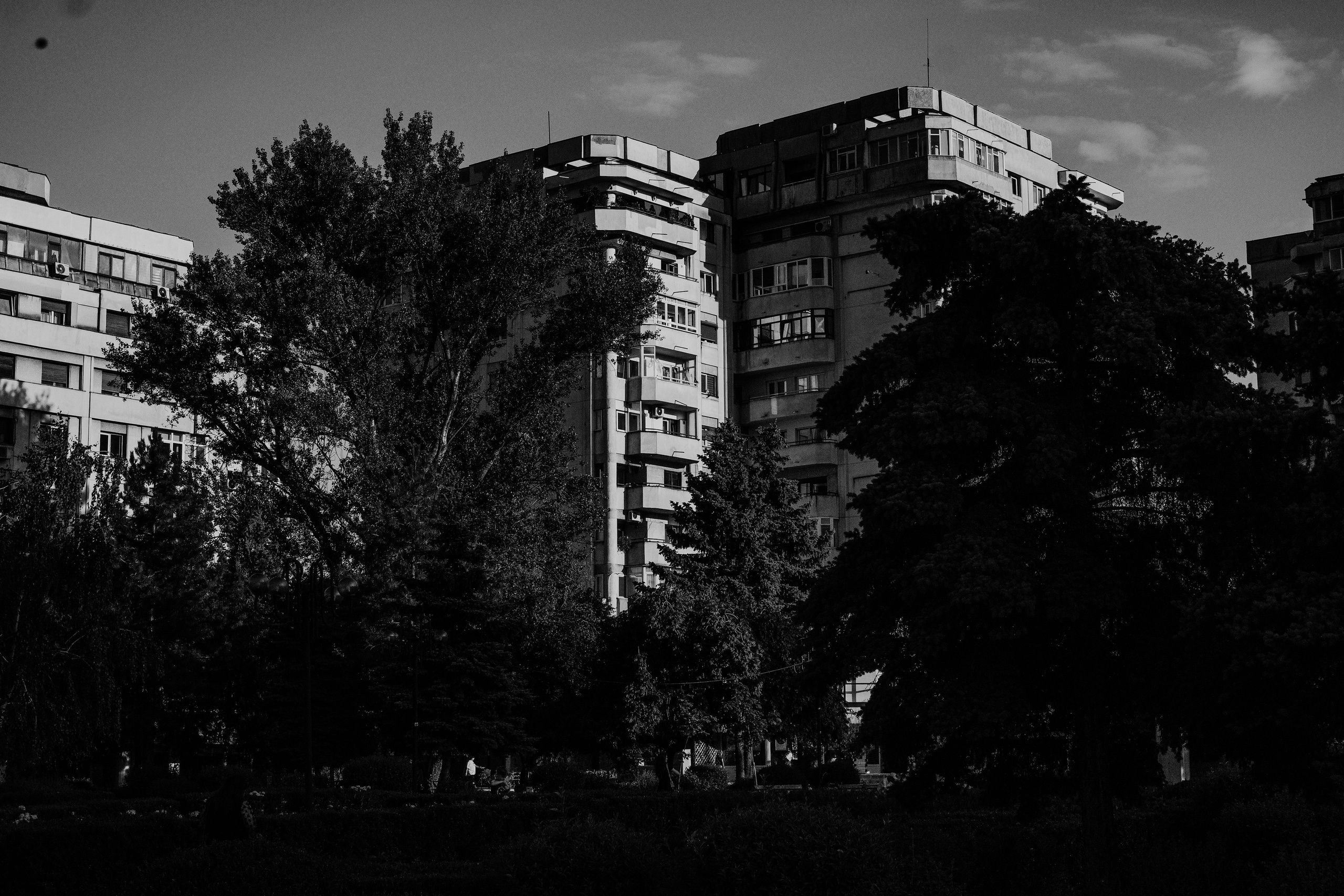 21.06.2025 Ploiesti | Romania. Hornetart