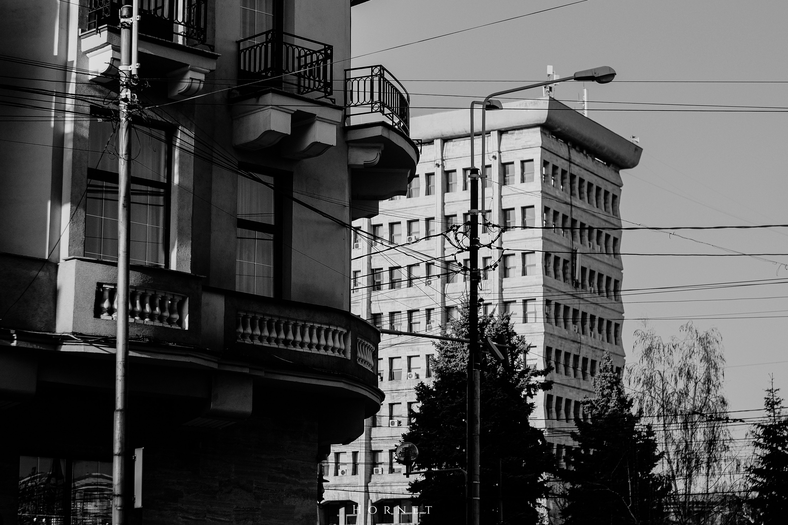 7.02.2025 Ploiesti | Romania. Hornetart