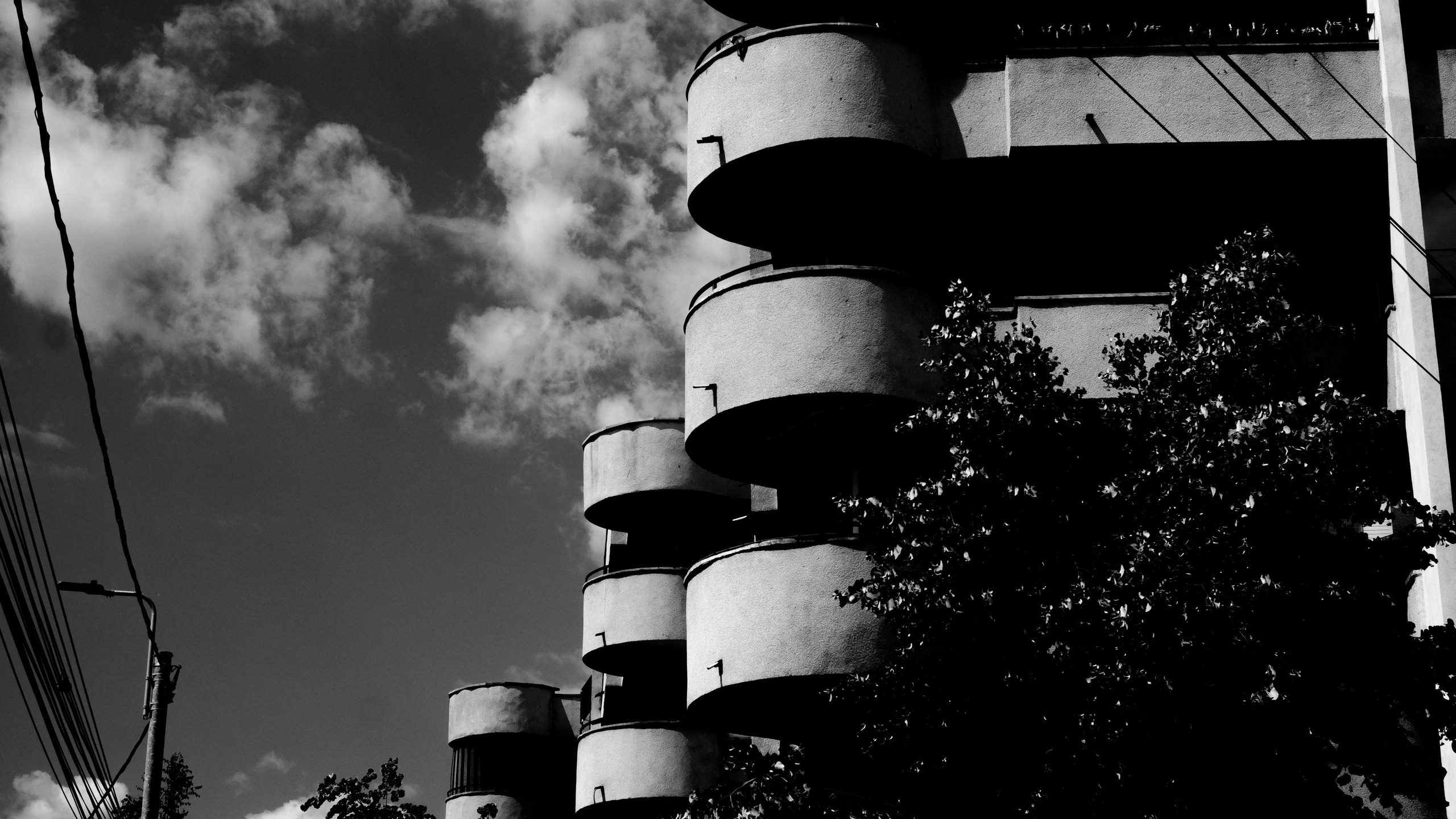 21.06.2025 Ploiesti | Romania. Hornetart