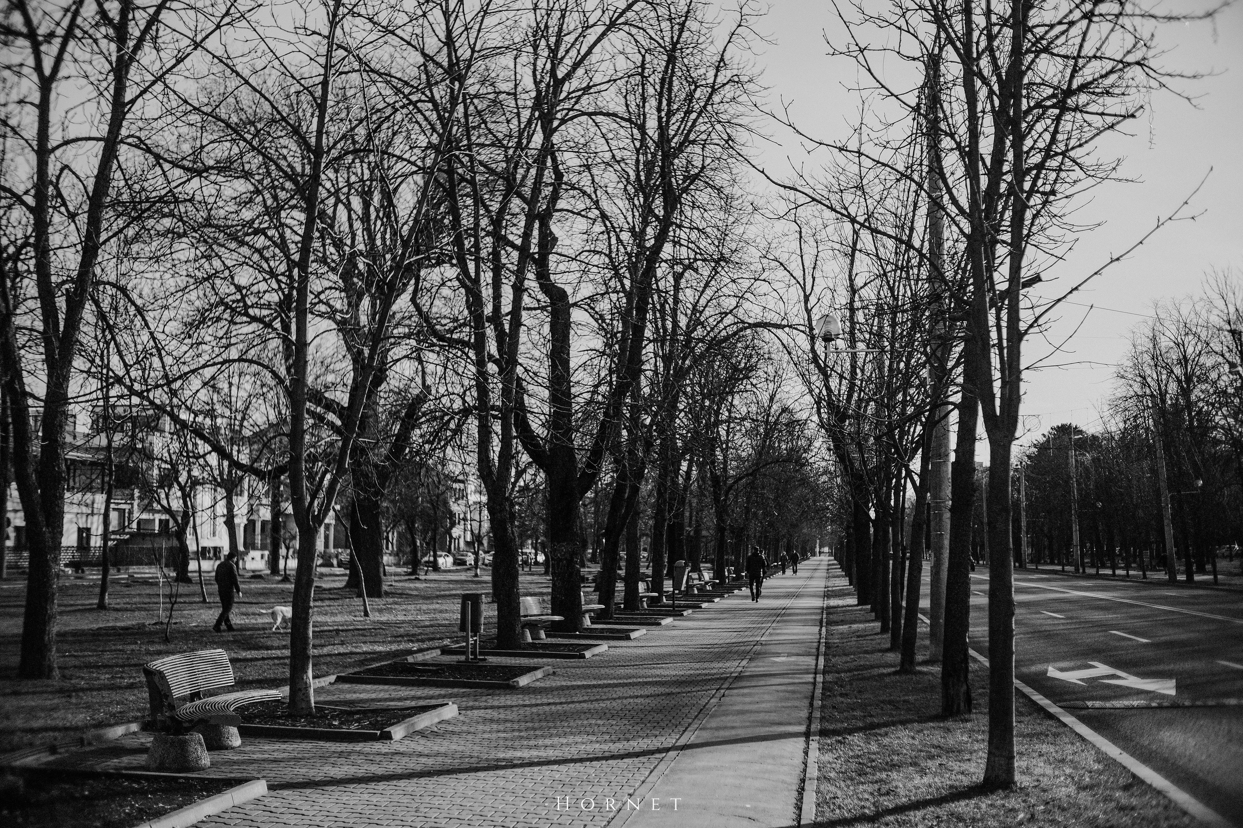 12.01.2025 Ploiesti | Romania. Hornetart