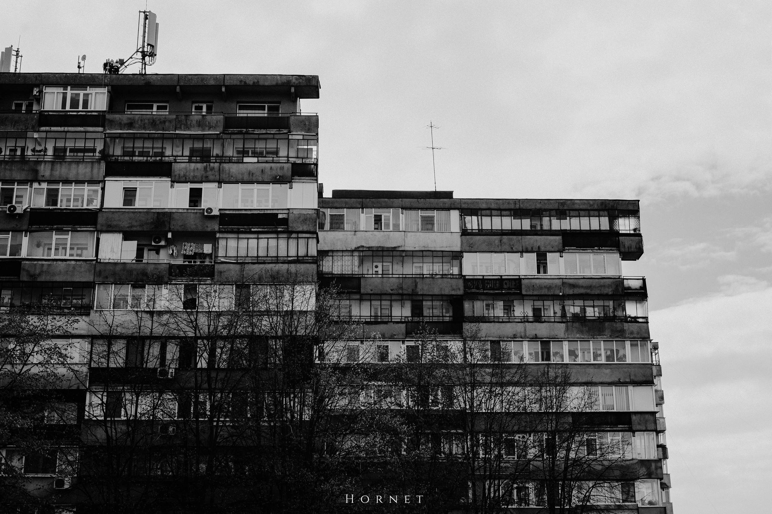 12.04.2025 Ploiesti | Romania. Hornetart