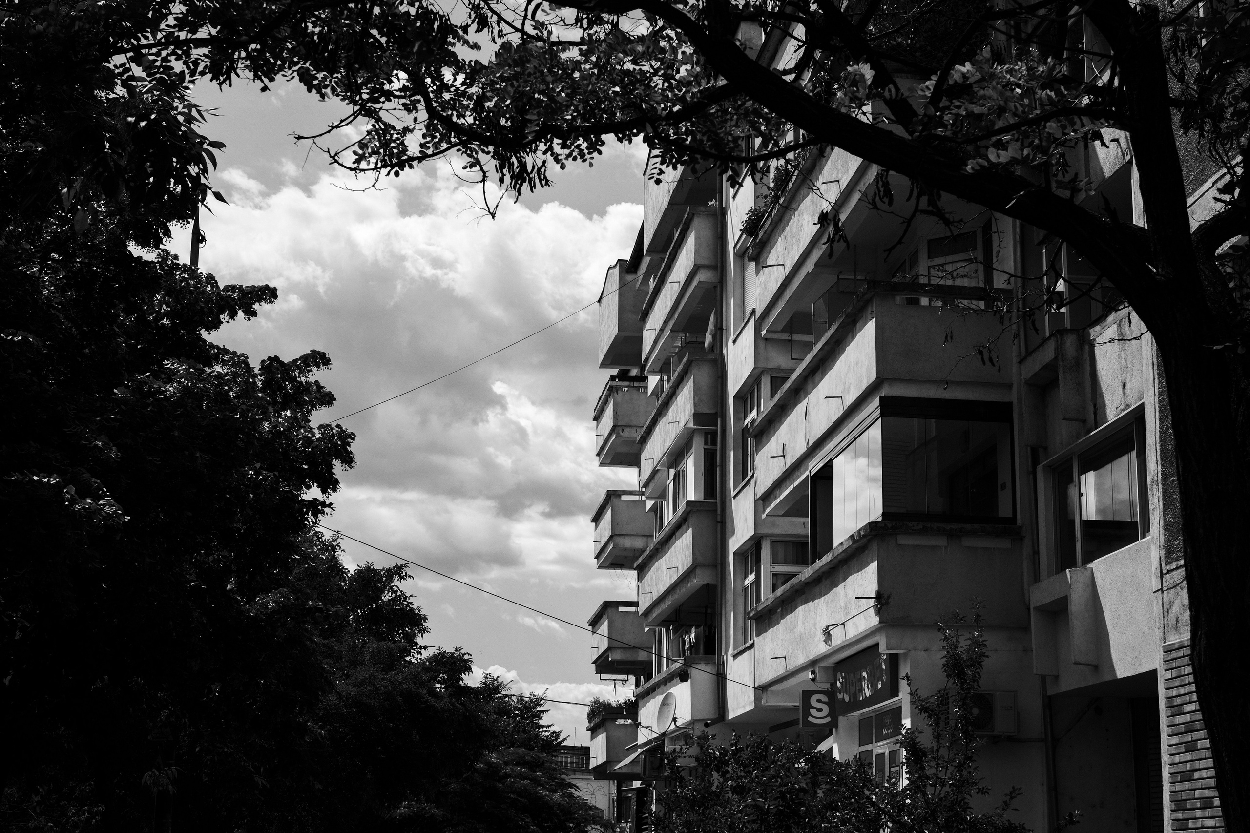 21.06.2025 Ploiesti | Romania. Hornetart
