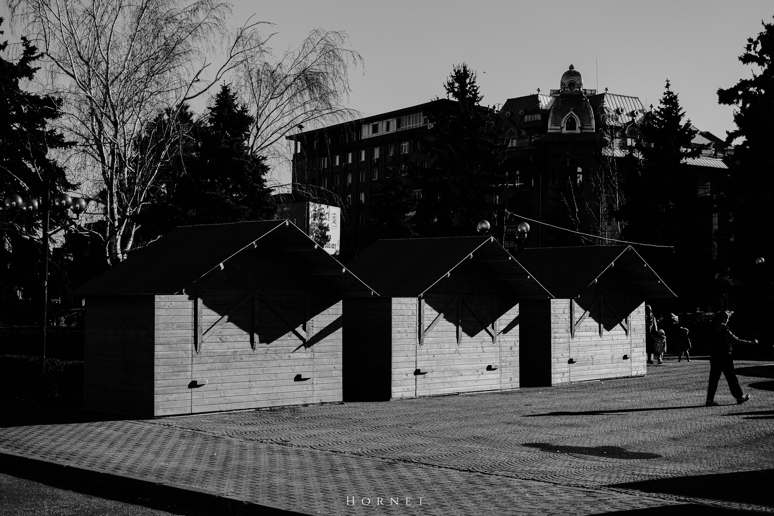 14.03.2026 Ploiesti | Romania. Hornetart