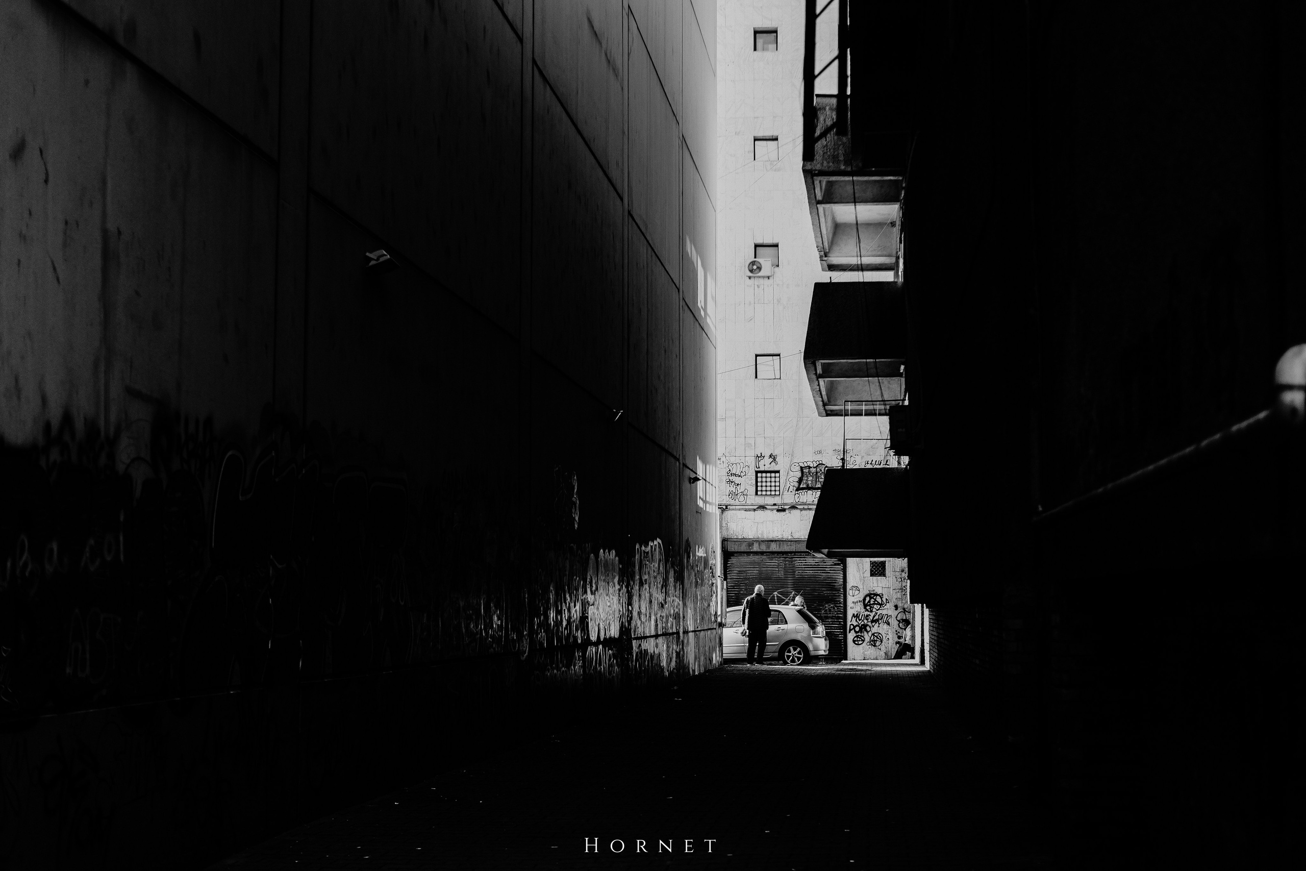 14.03.2026 Ploiesti | Romania. Hornetart