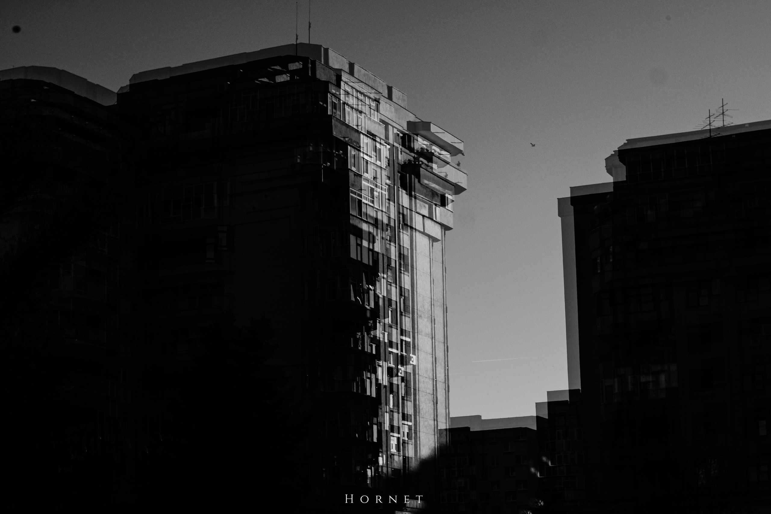 2.11.2025 Ploiesti | Romania. Hornetart