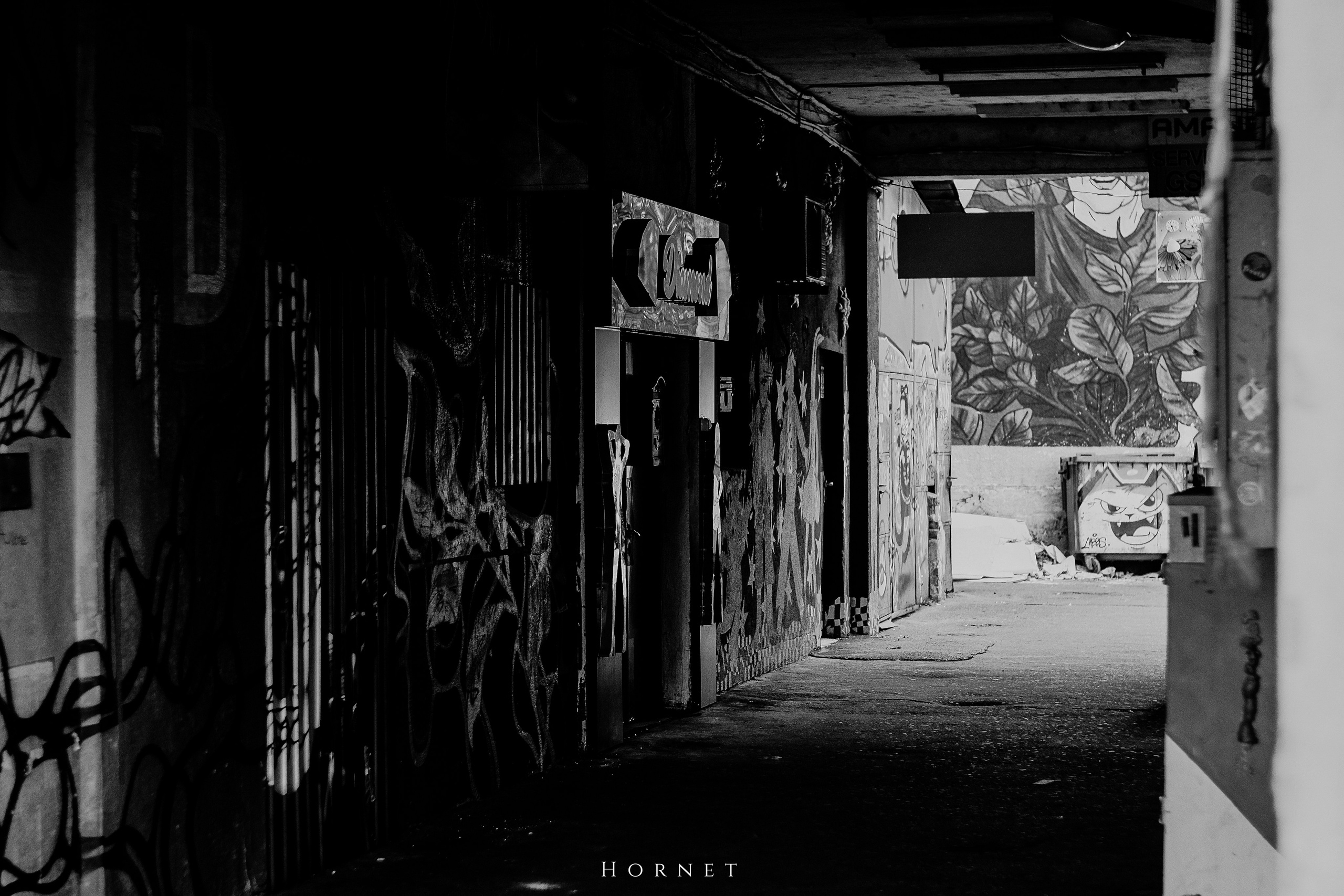 7.02.2025 Ploiesti | Romania. Hornetart