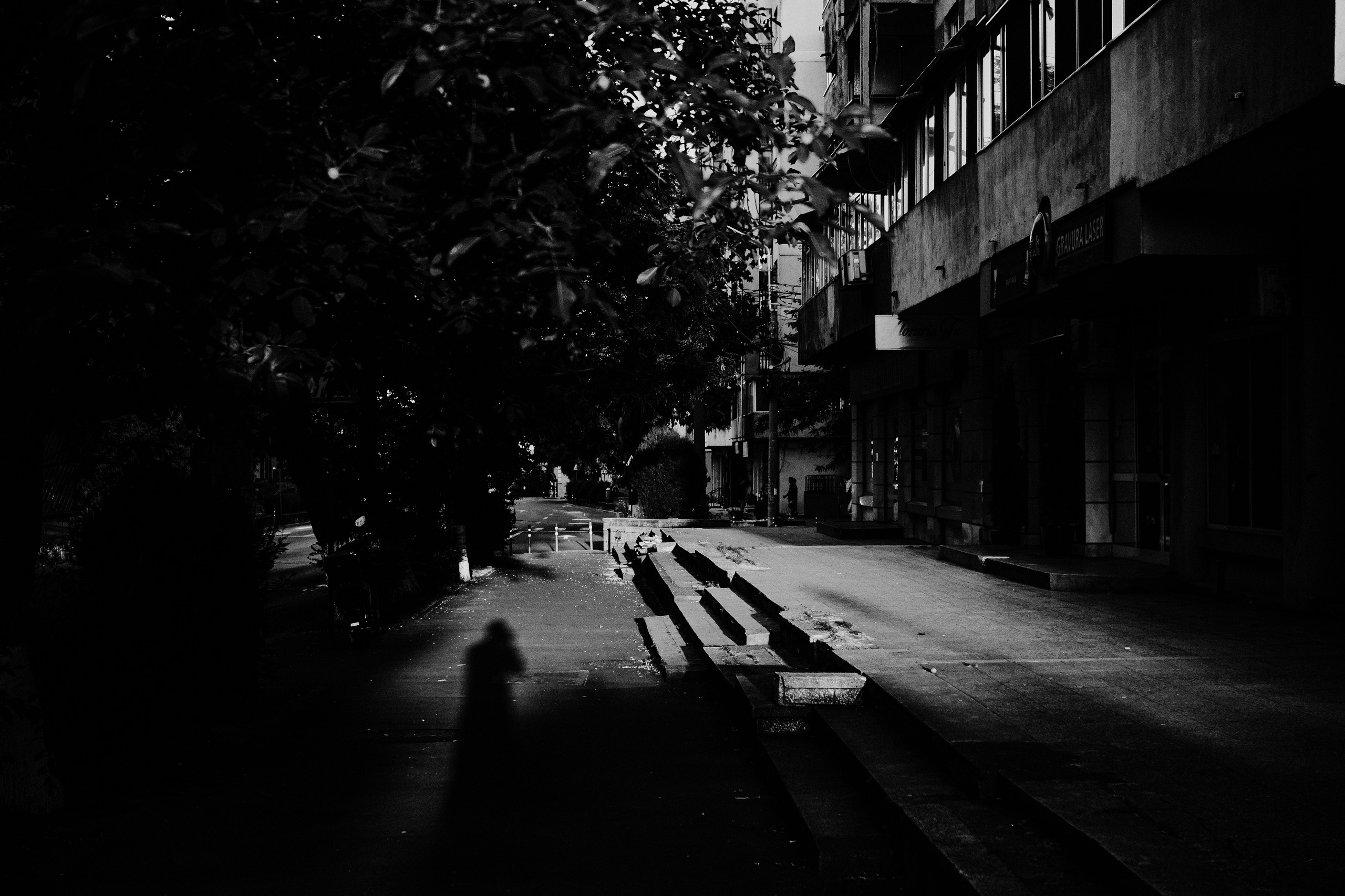 21.06.2025 Ploiesti | Romania. Hornetart