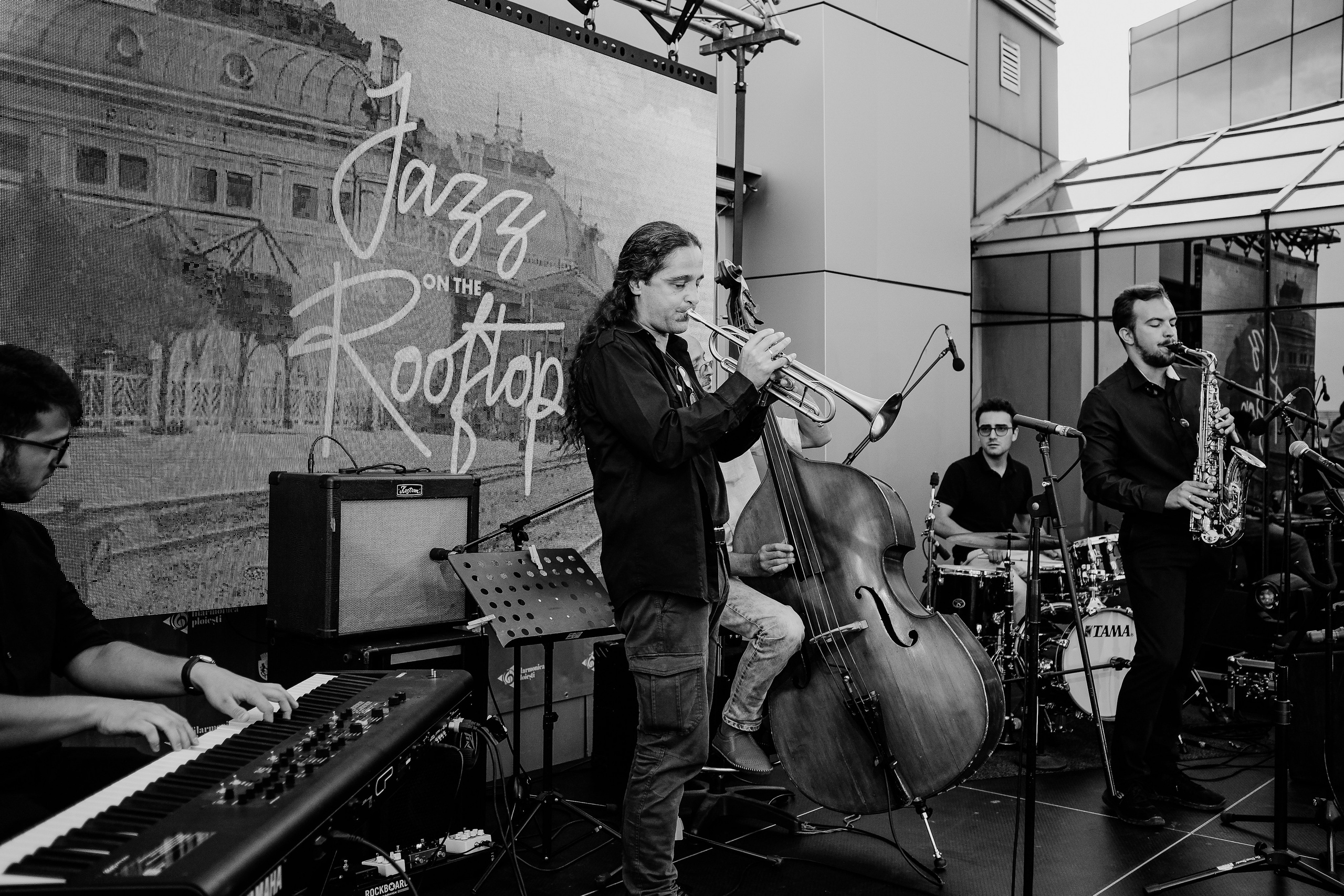David Luca Trio. Hornetart