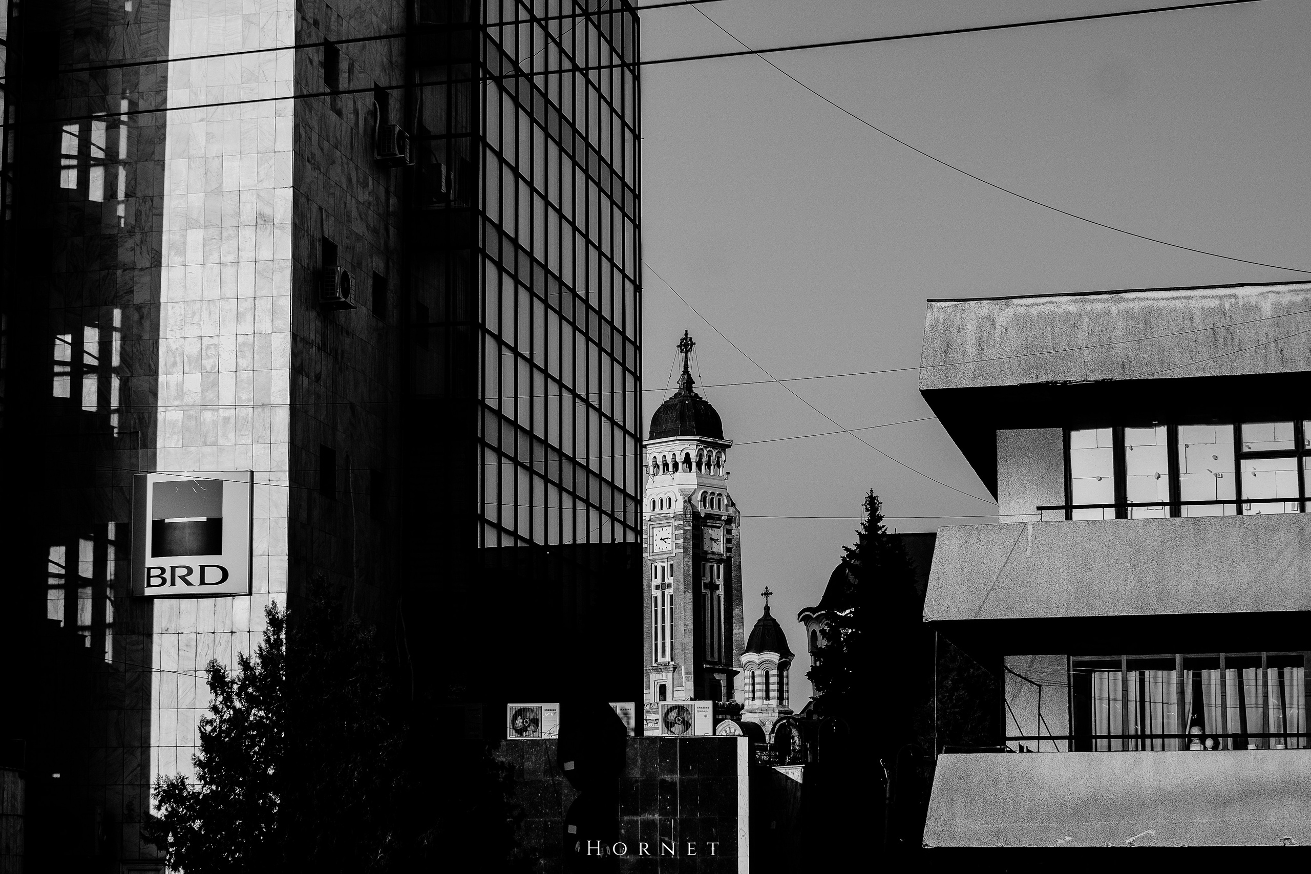 7.02.2025 Ploiesti | Romania. Hornetart