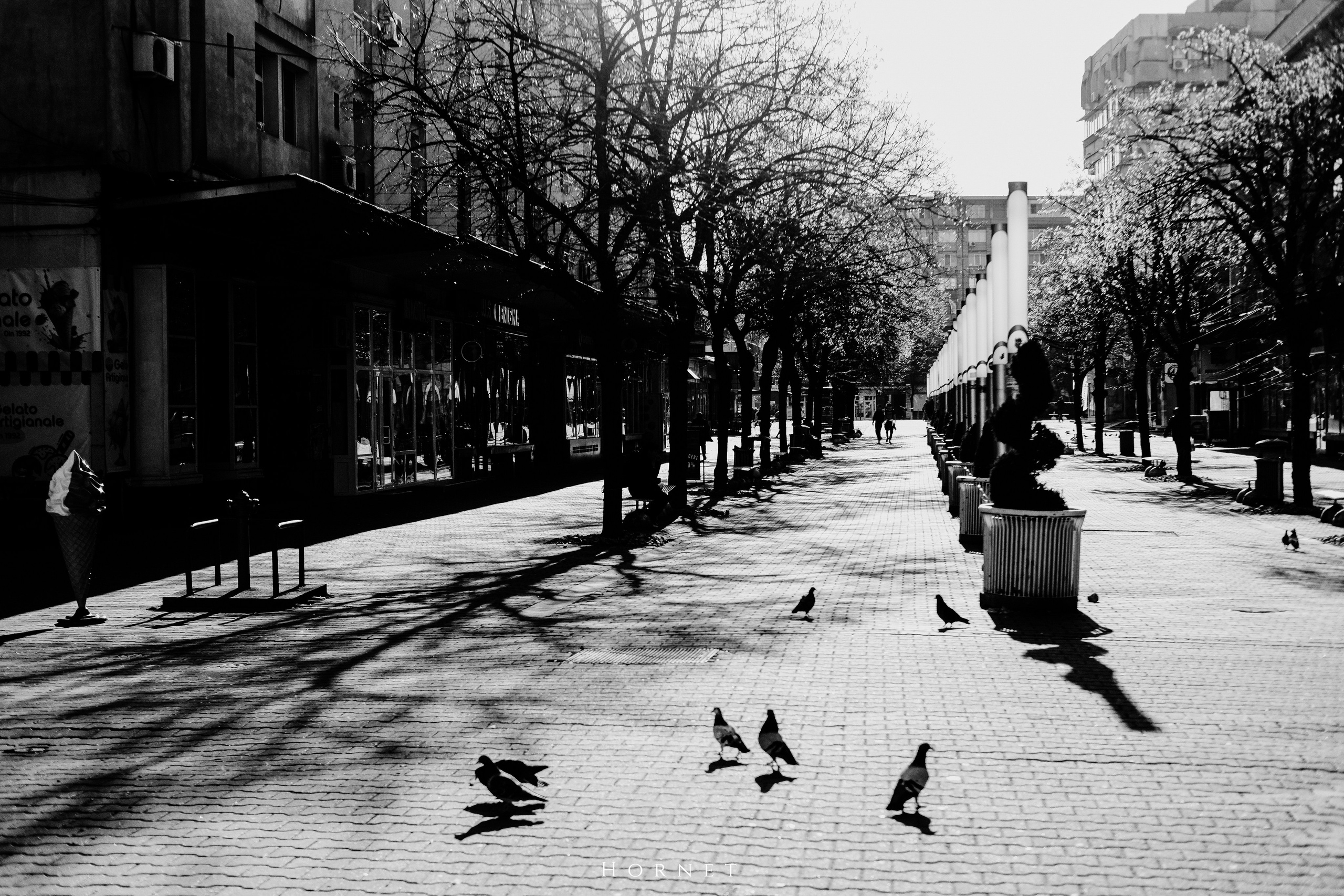 14.03.2026 Ploiesti | Romania. Hornetart