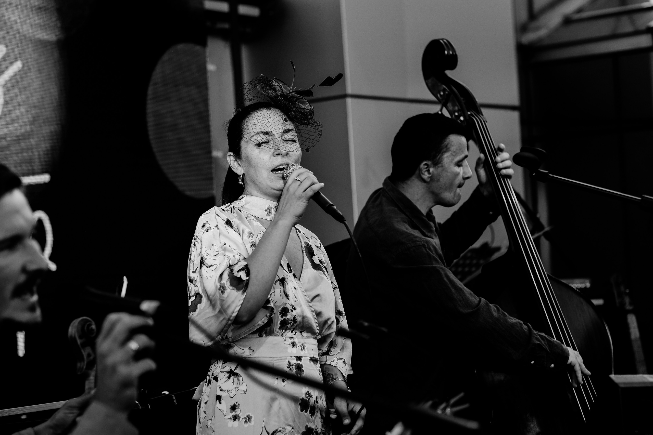Luiza Zan & Jazzpar Trio. Hornetart