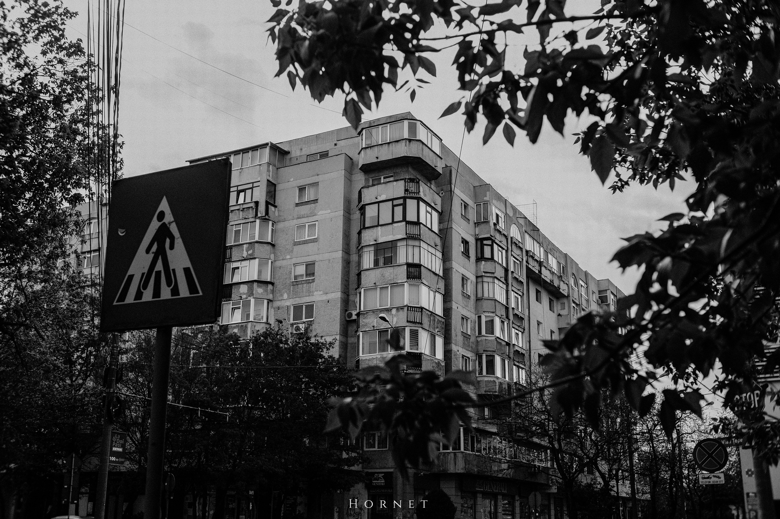 21.04.2025 Ploiesti | Romania. Hornetart