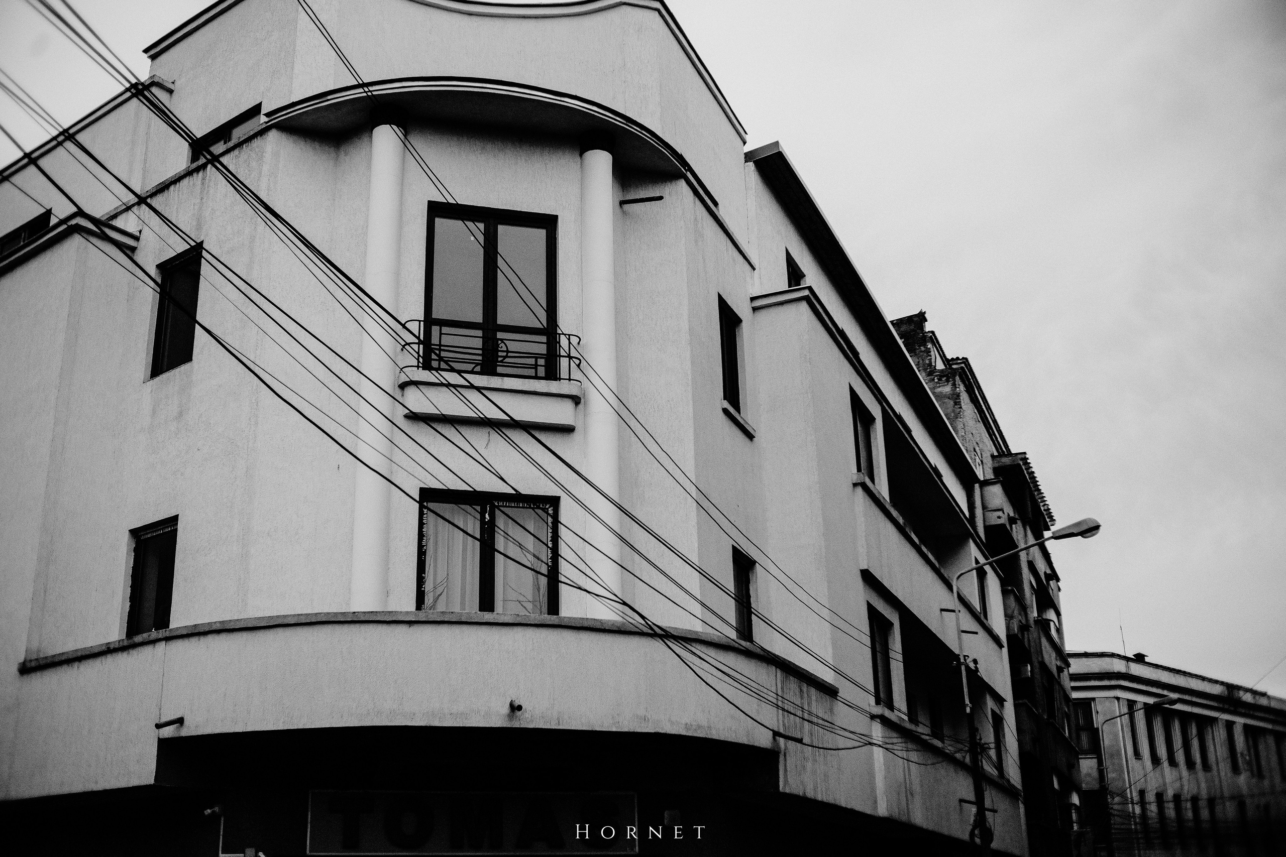 7.01.2025 Ploiesti | Romania. Hornetart
