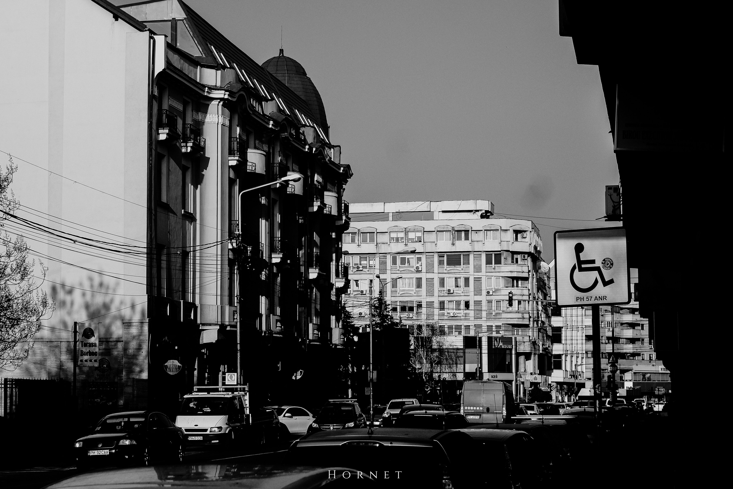 7.02.2025 Ploiesti | Romania. Hornetart