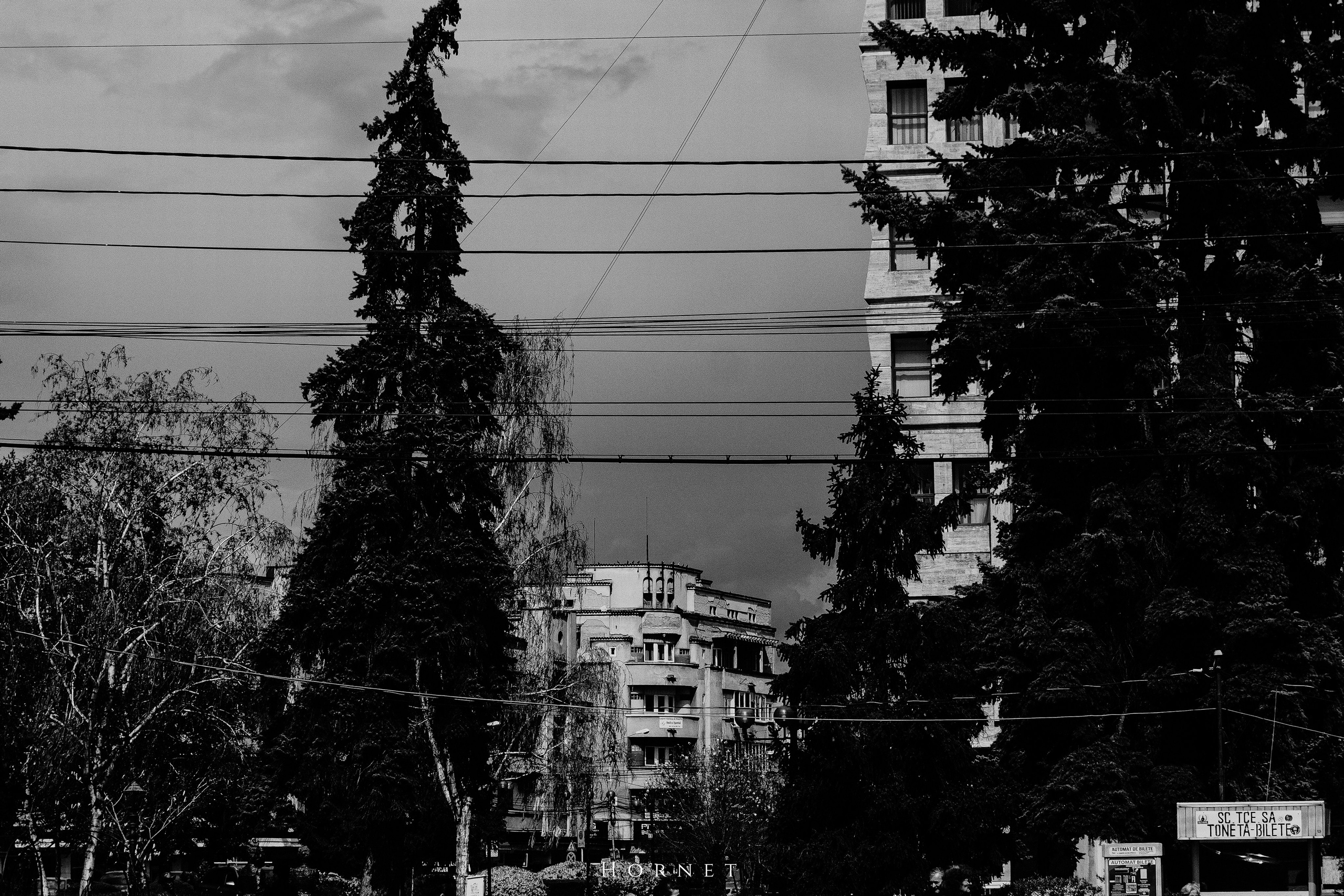 5.04.2025 Ploiesti | Romania. Hornetart