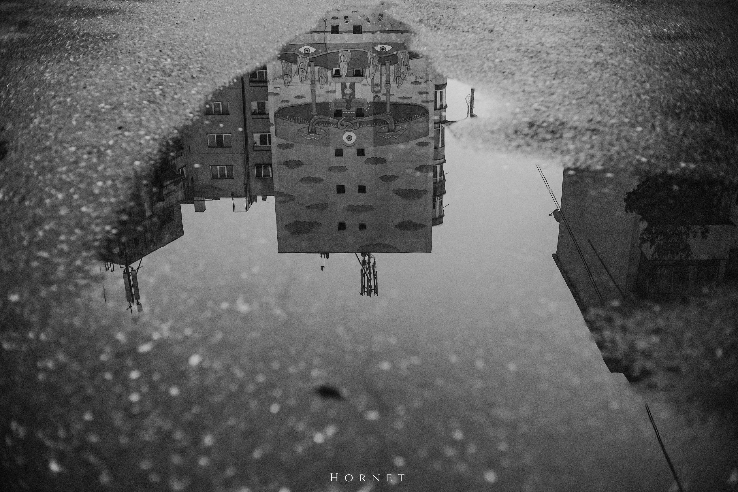 29.03.2025 Ploiesti | Romania. Hornetart