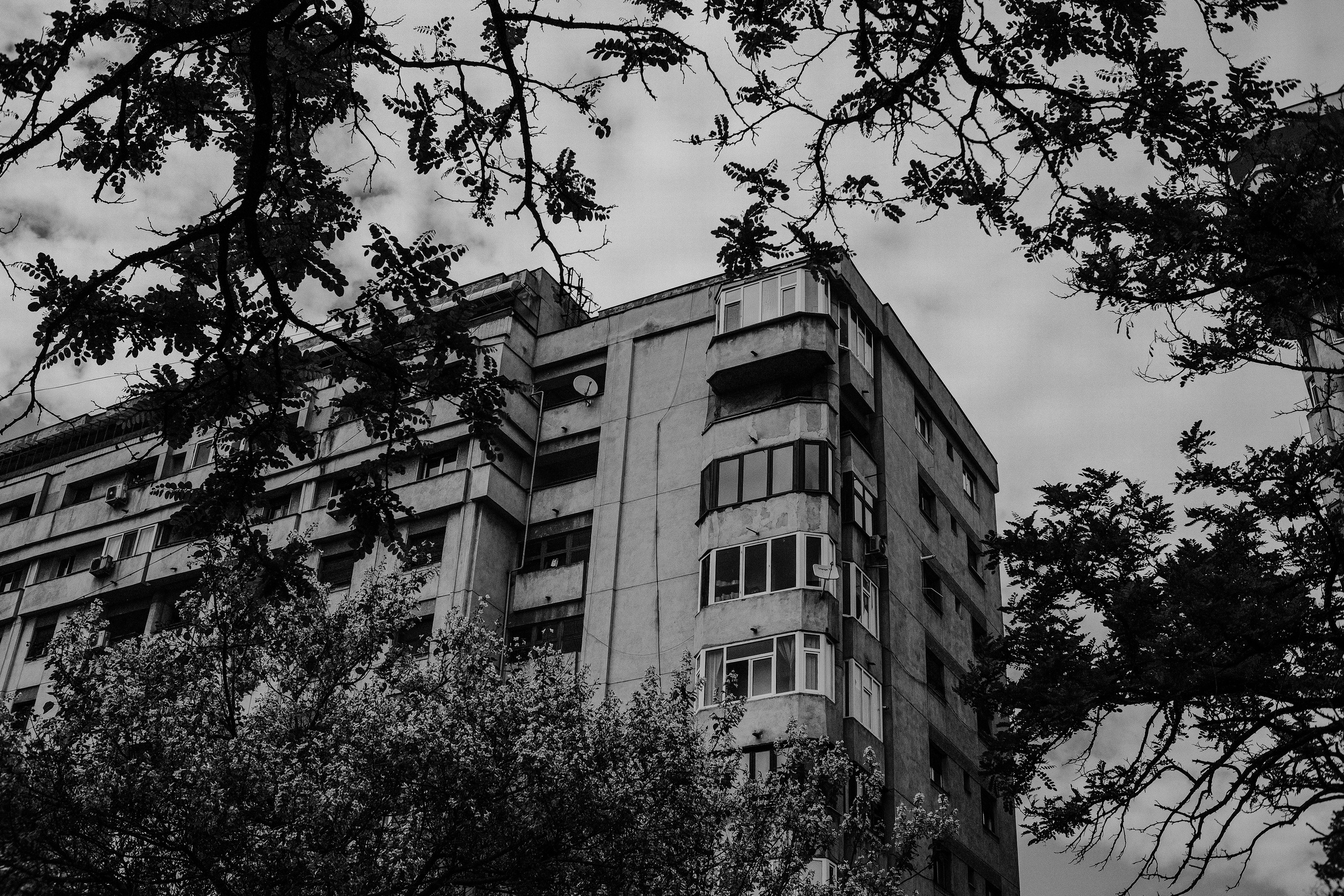 10.05.2025 Ploiesti | Romania. Hornetart