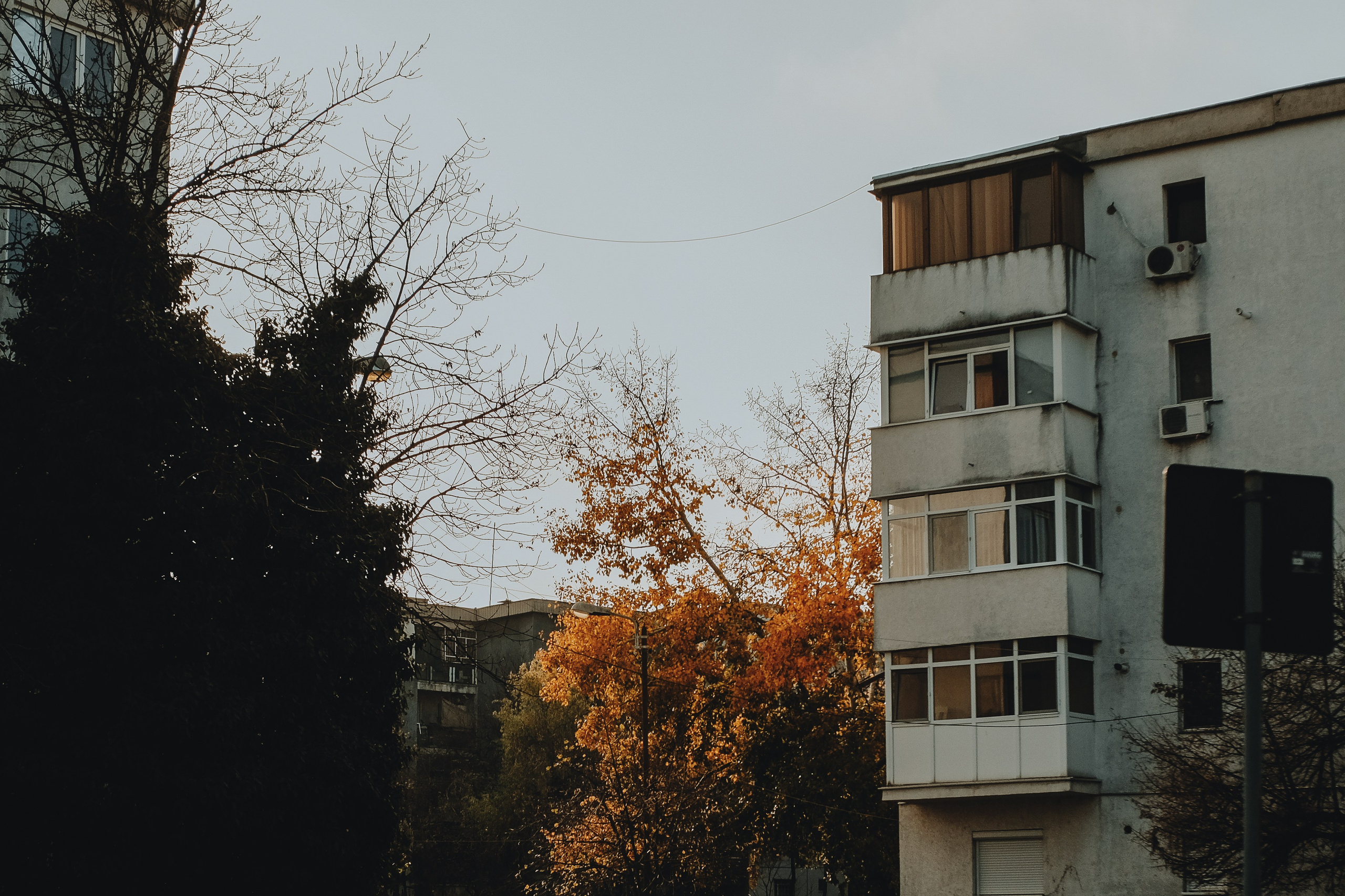 22.11.2025 Ploiesti | Romania. Hornetart