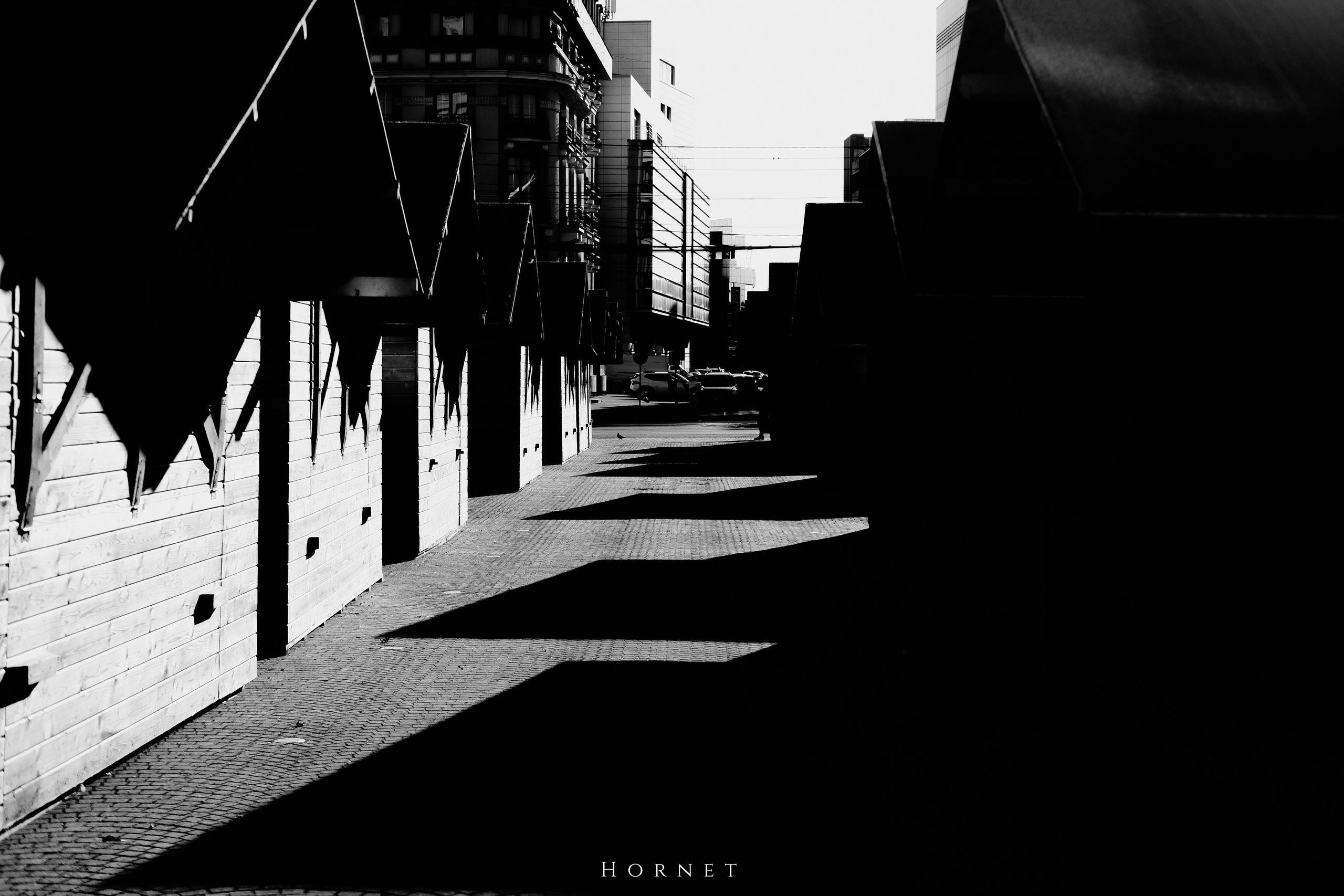 14.03.2026 Ploiesti | Romania. Hornetart