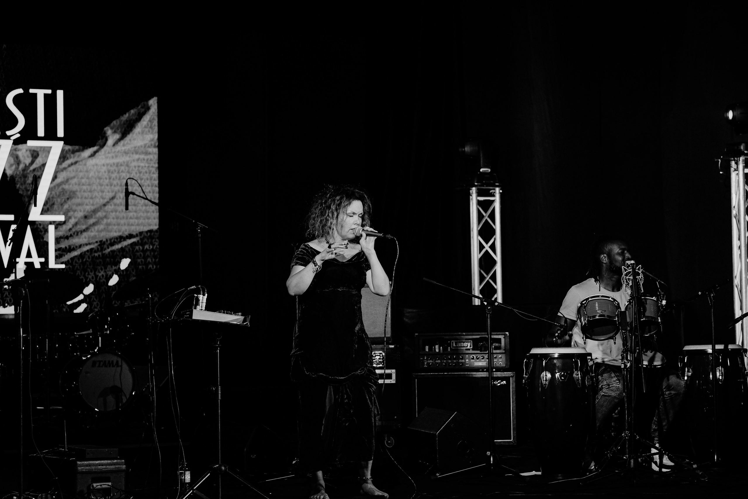 Kristin Asbjornsen Trio. Hornetart