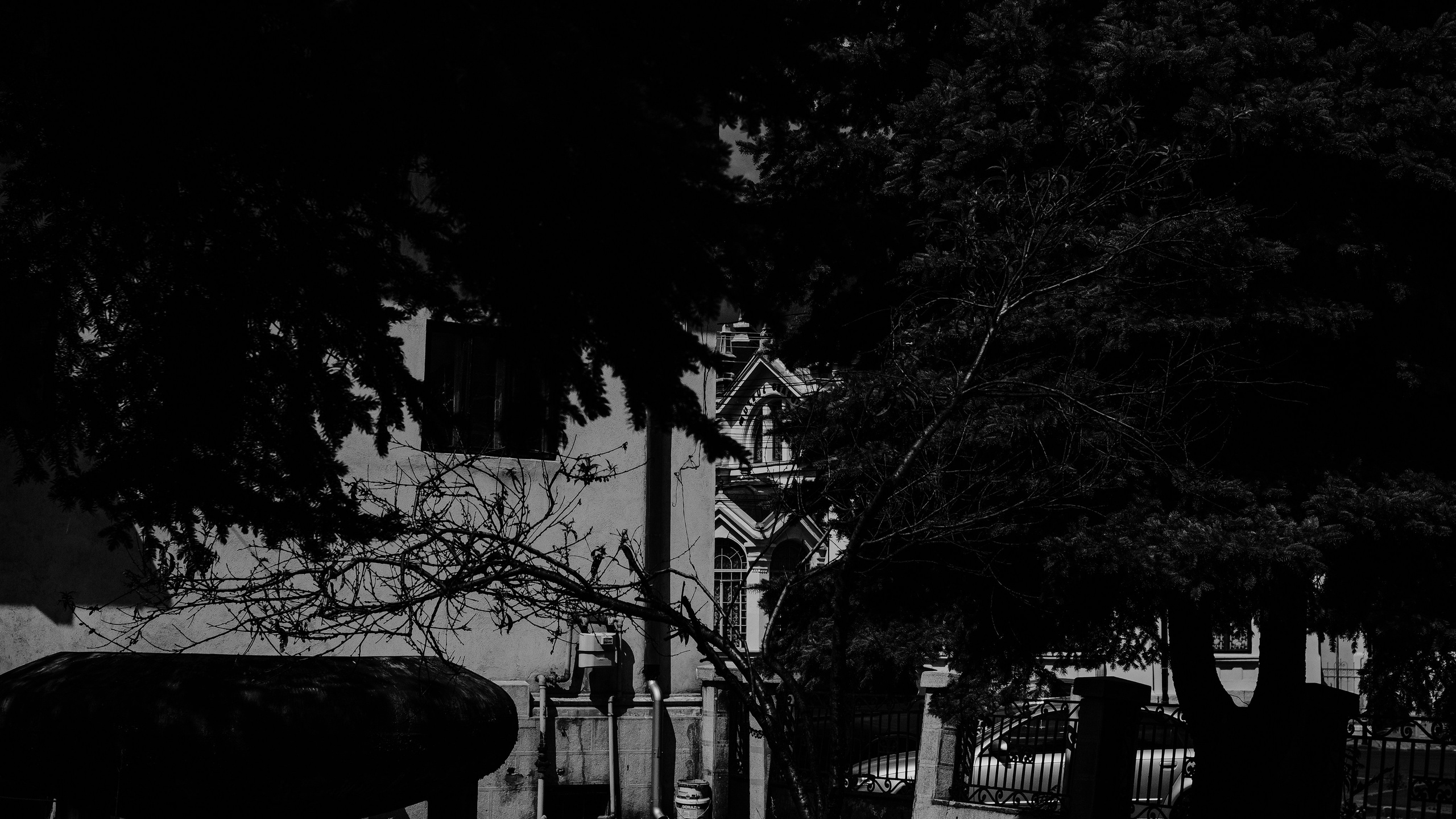 21.06.2025 Ploiesti | Romania. Hornetart