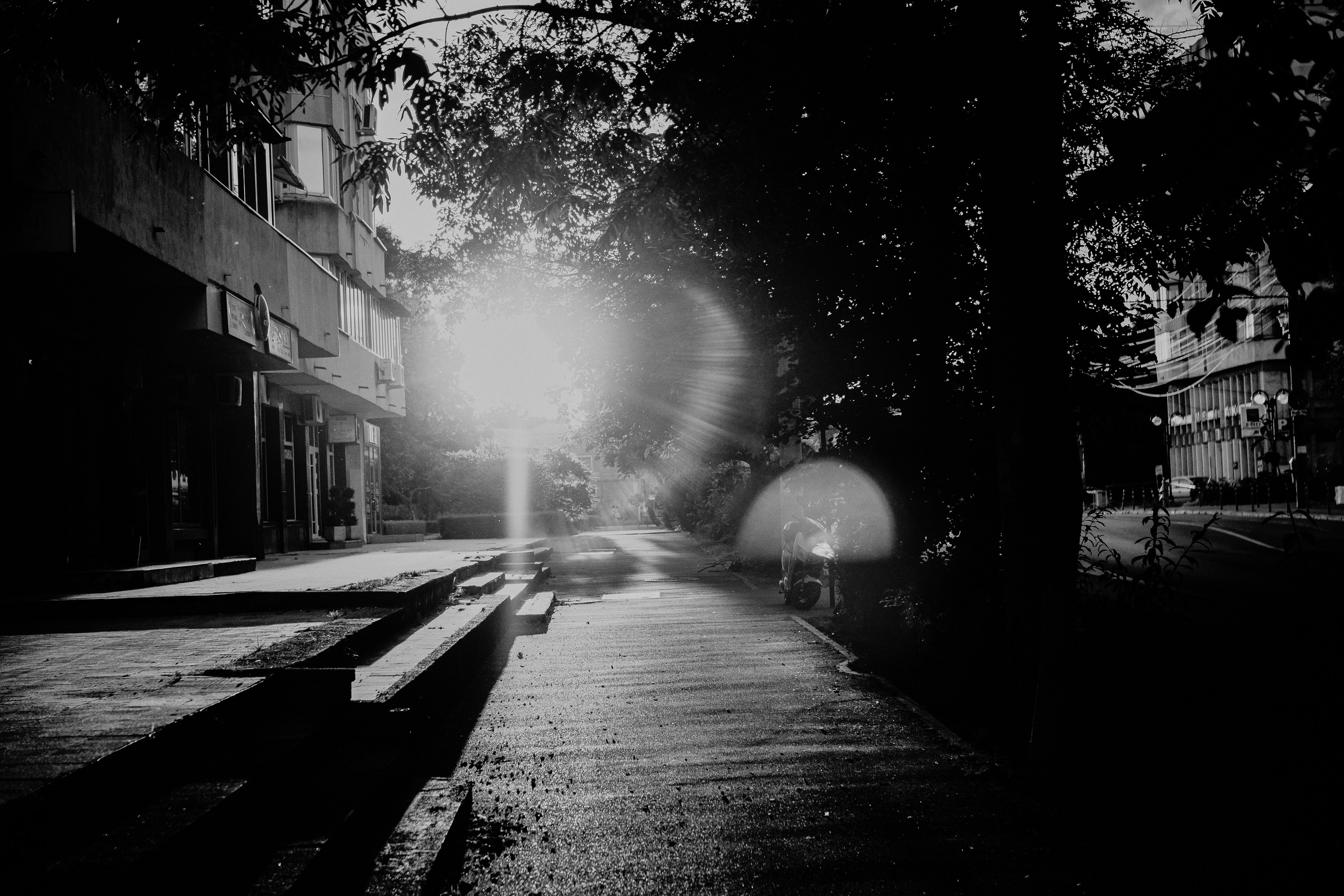 21.06.2025 Ploiesti | Romania. Hornetart