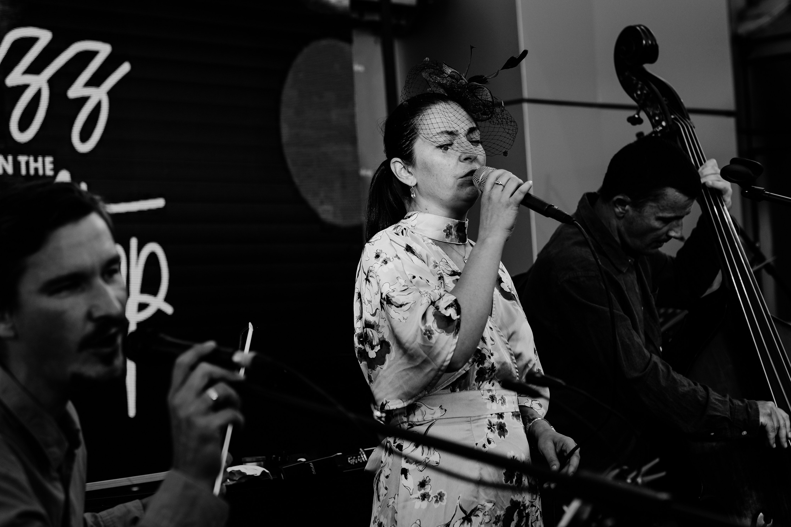 Luiza Zan & Jazzpar Trio. Hornetart