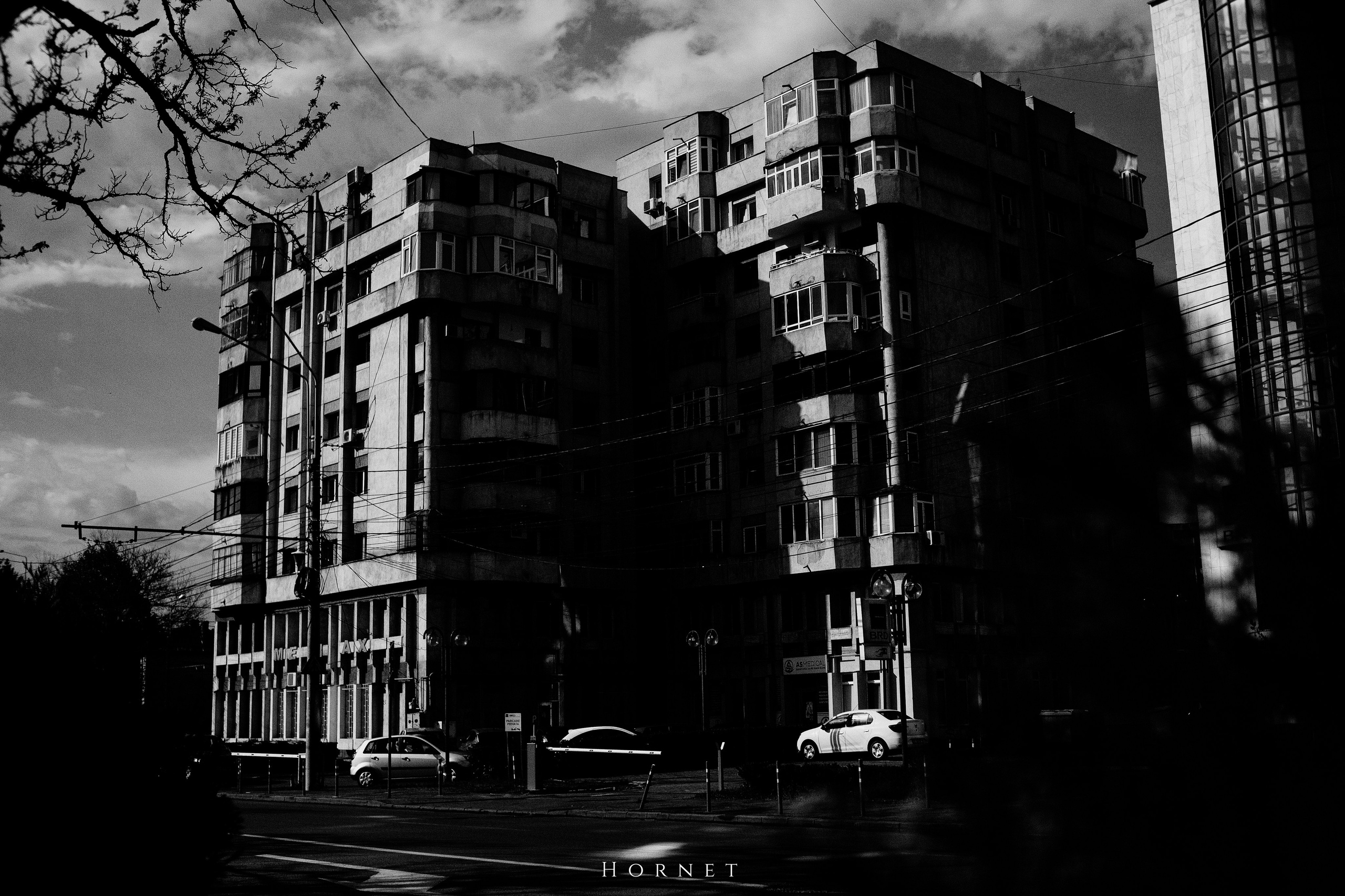 21.04.2025 Ploiesti | Romania. Hornetart