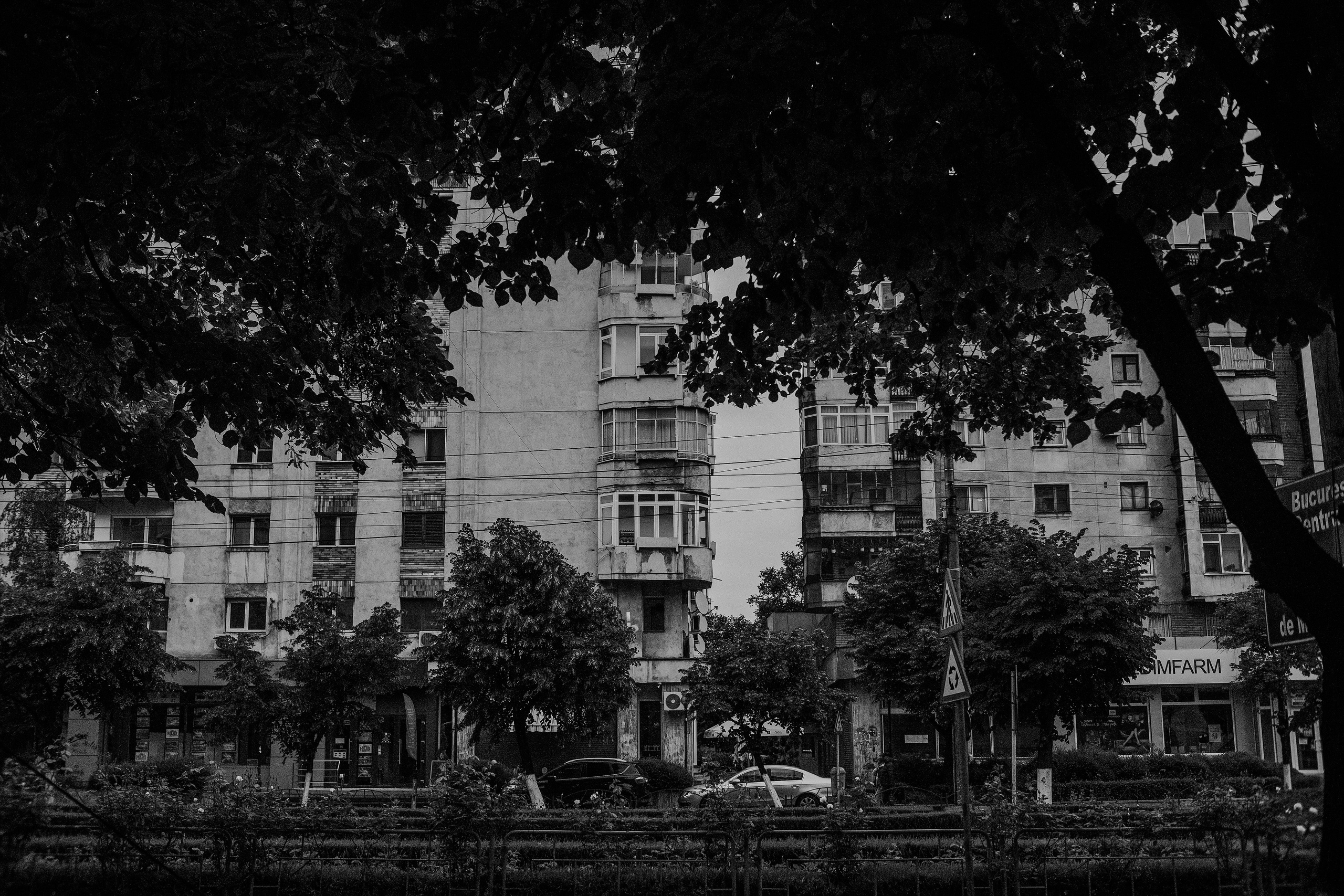 10.05.2025 Ploiesti | Romania. Hornetart